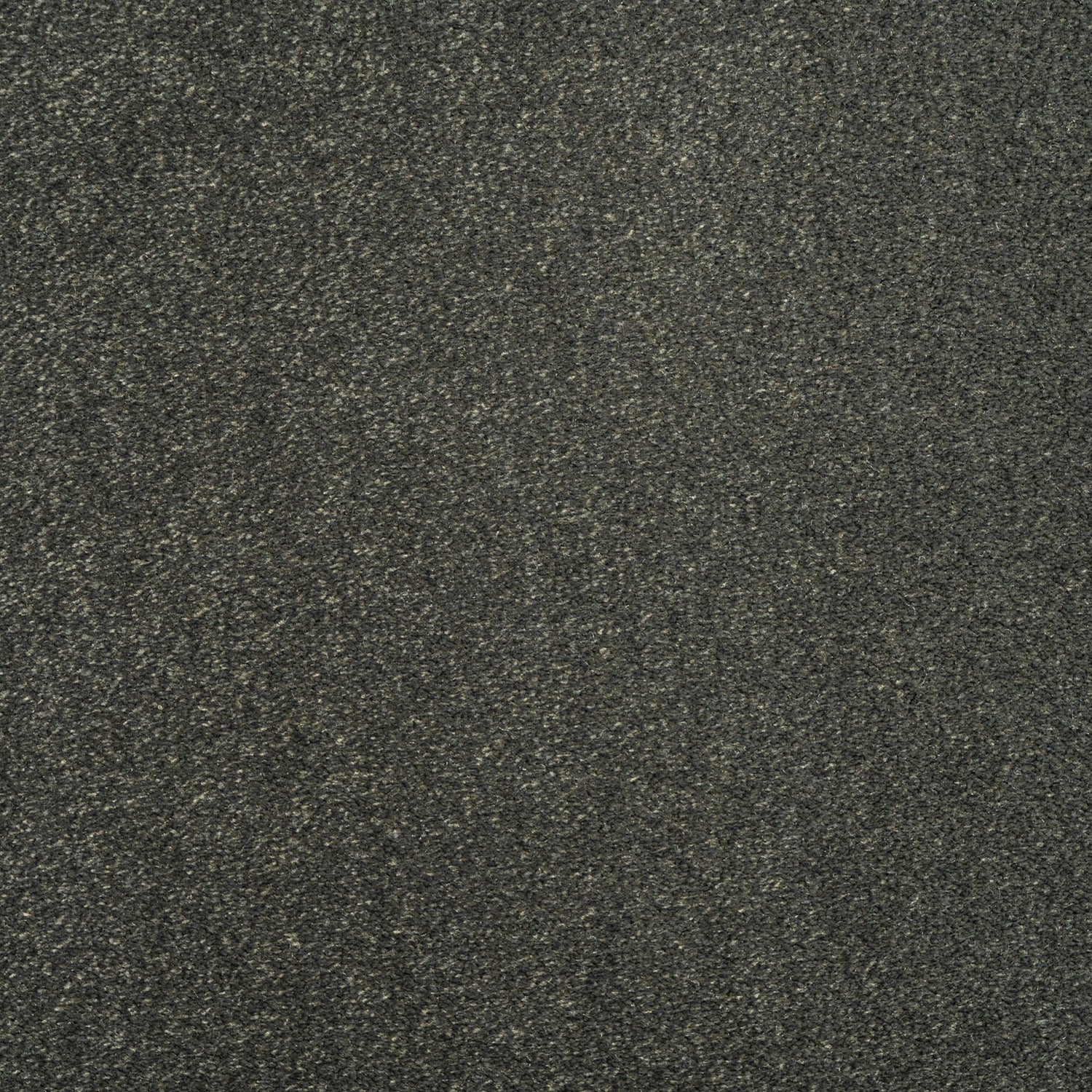 ITC Cabernet 100% Nylon Velvet Carpet