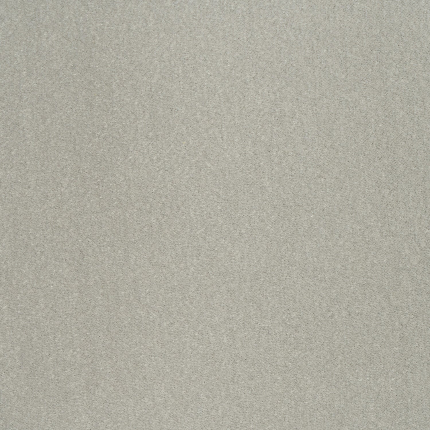ITC Cabernet 100% Nylon Velvet Carpet