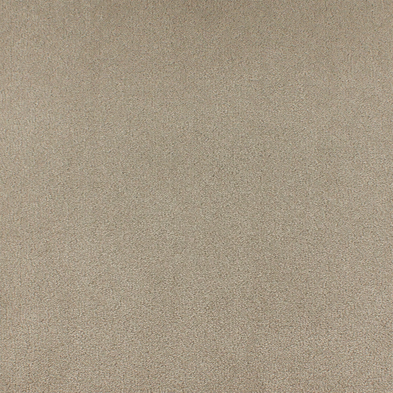 ITC Cannes 100% Nylon Faux Silk Velvet Carpet