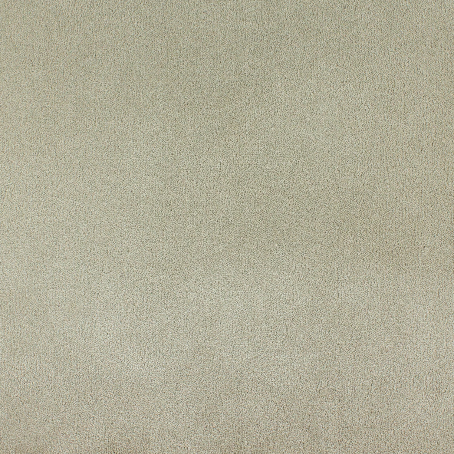 ITC Cannes 100% Nylon Faux Silk Velvet Carpet