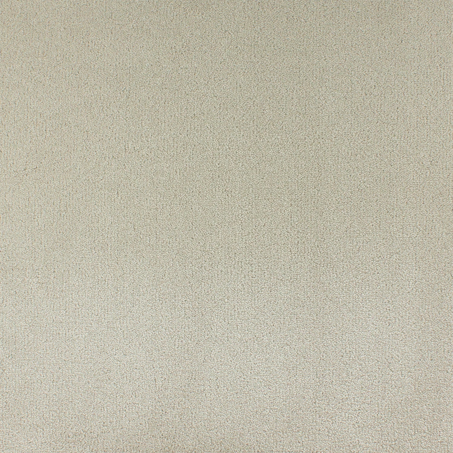 ITC Cannes 100% Nylon Faux Silk Velvet Carpet