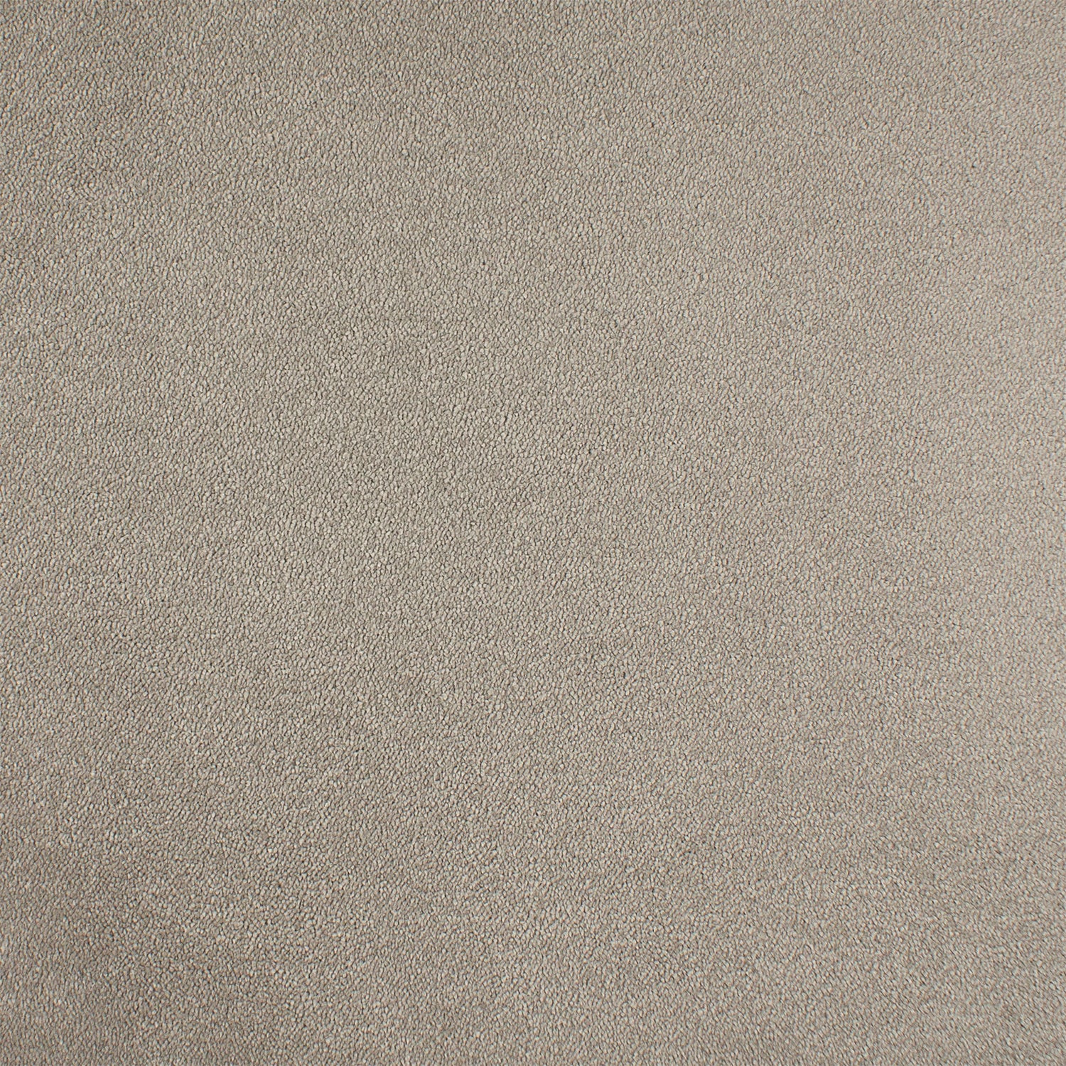 ITC Chablis 100% Nylon Faux Silk Velvet Carpet