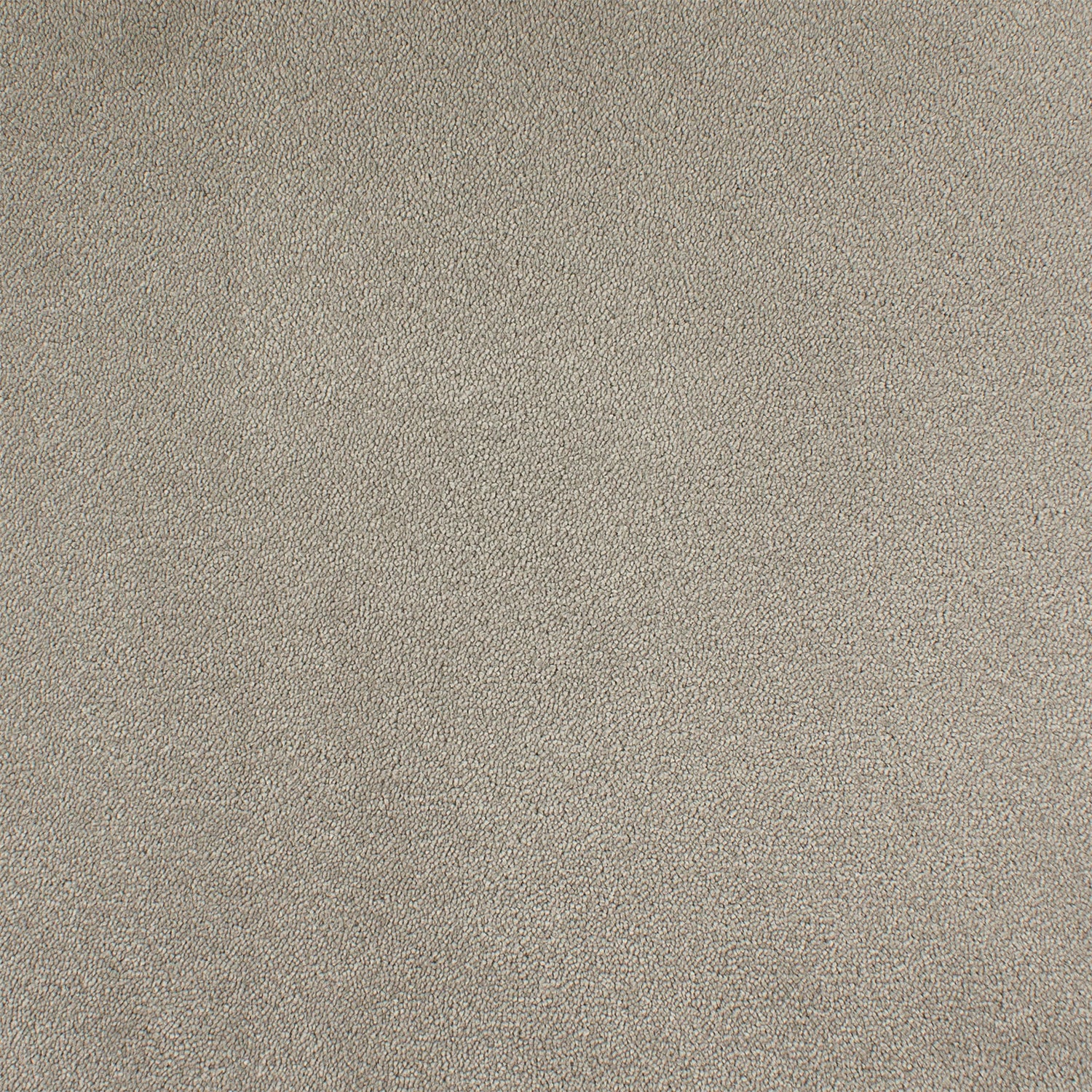 ITC Chablis 100% Nylon Faux Silk Velvet Carpet