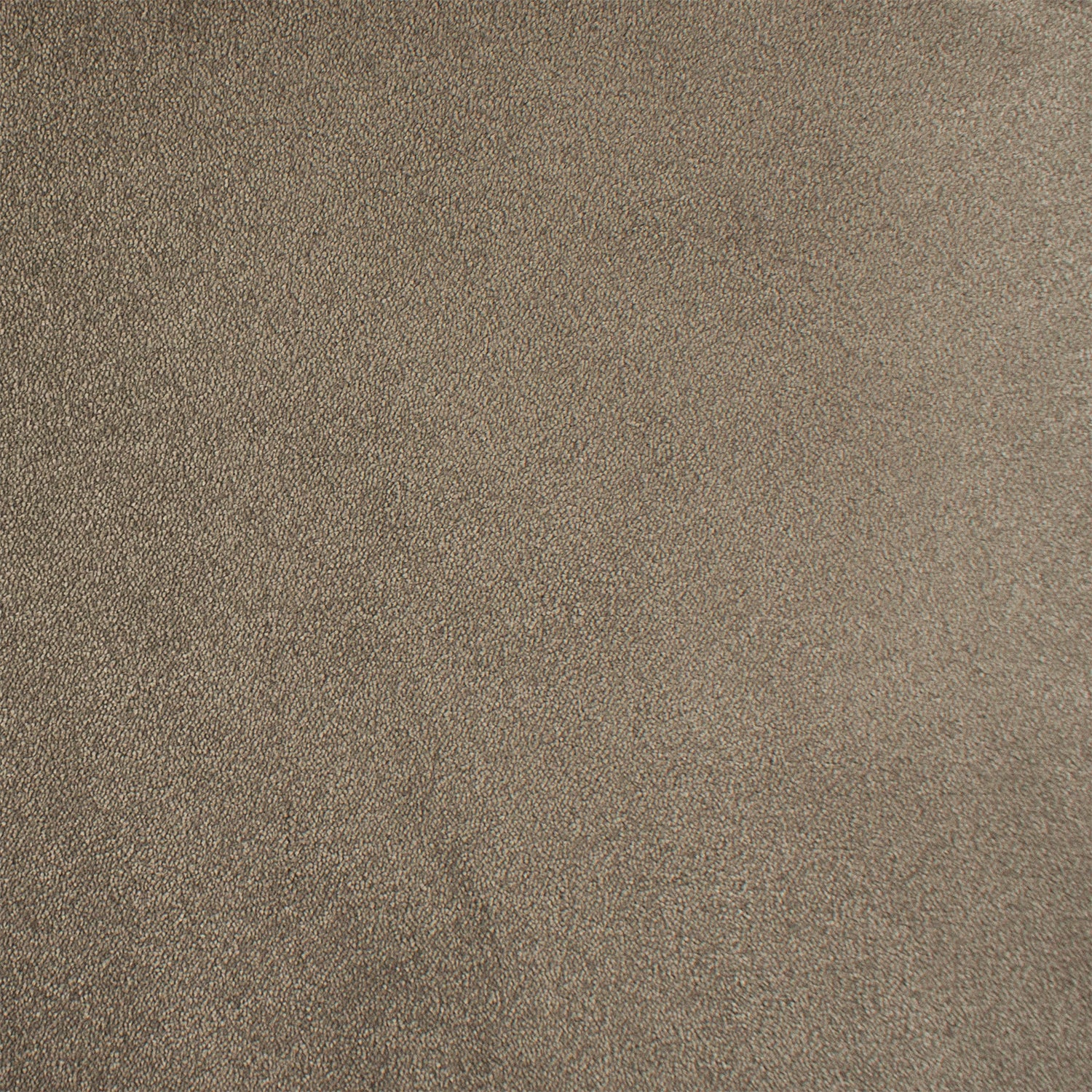 ITC Chablis 100% Nylon Faux Silk Velvet Carpet