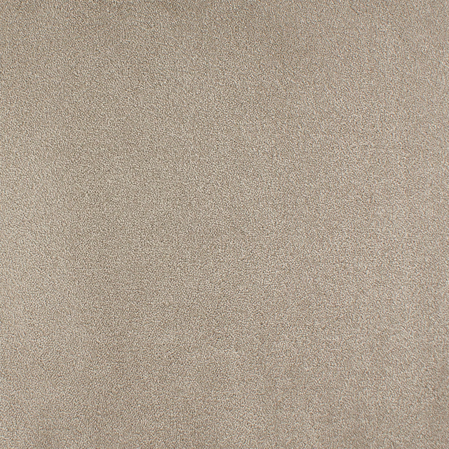 ITC Chablis 100% Nylon Faux Silk Velvet Carpet