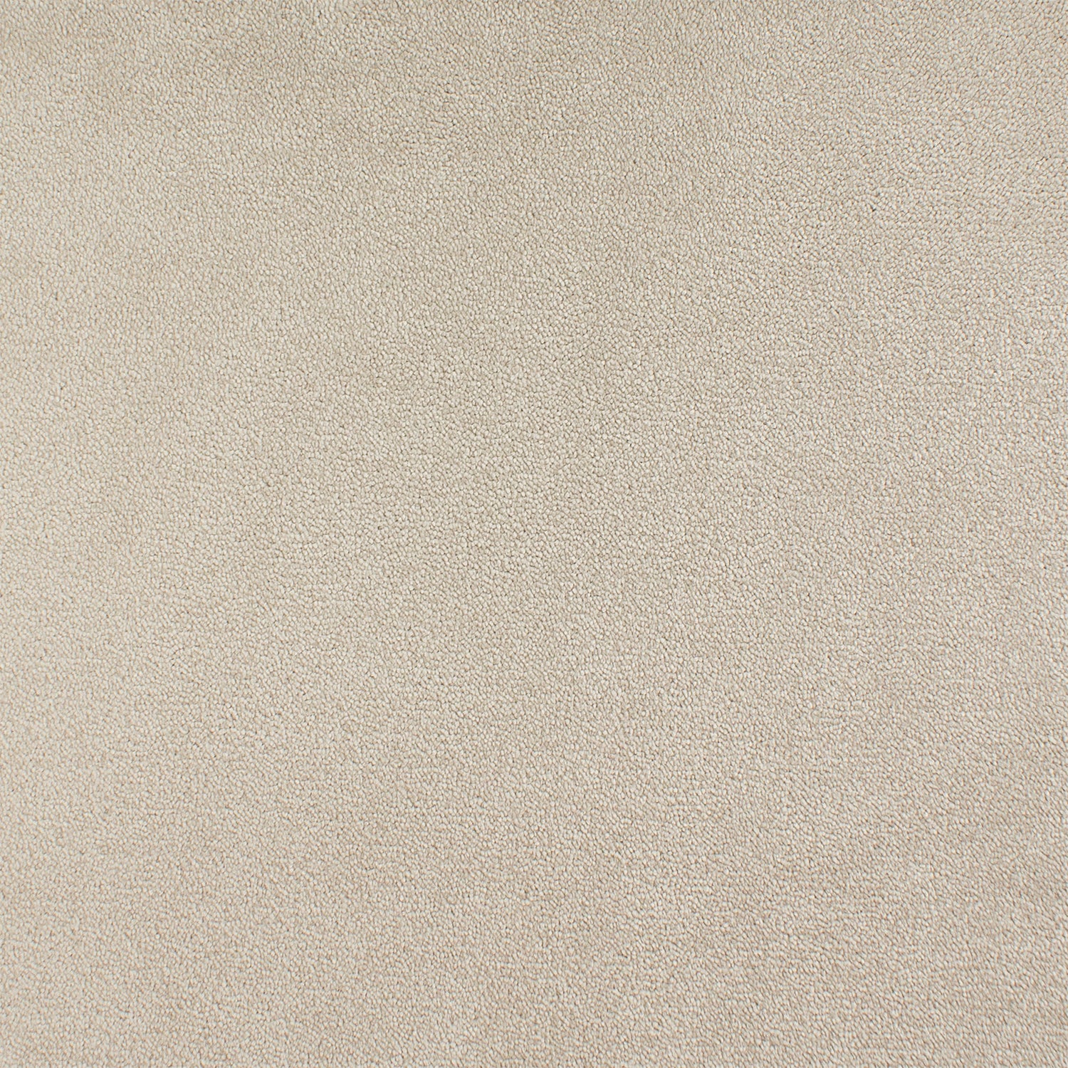 ITC Chablis 100% Nylon Faux Silk Velvet Carpet