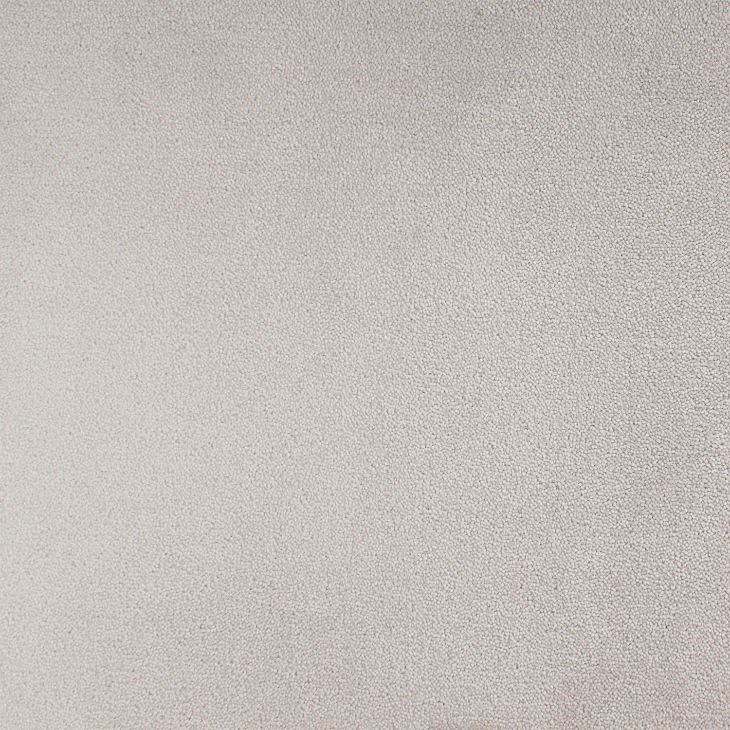 ITC Chablis 100% Nylon Faux Silk Velvet Carpet