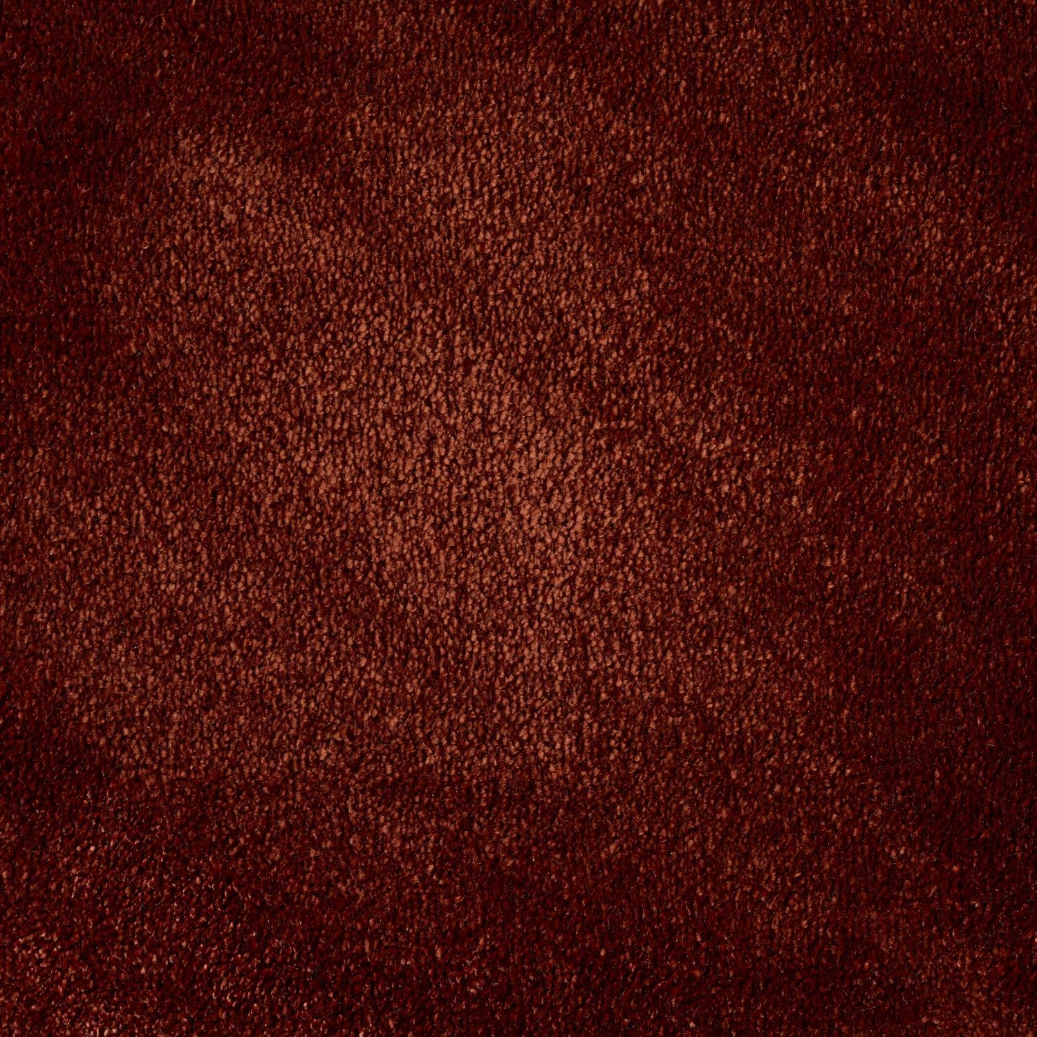 ITC Chamonix 100% Nylon Faux Silk Velvet Carpet