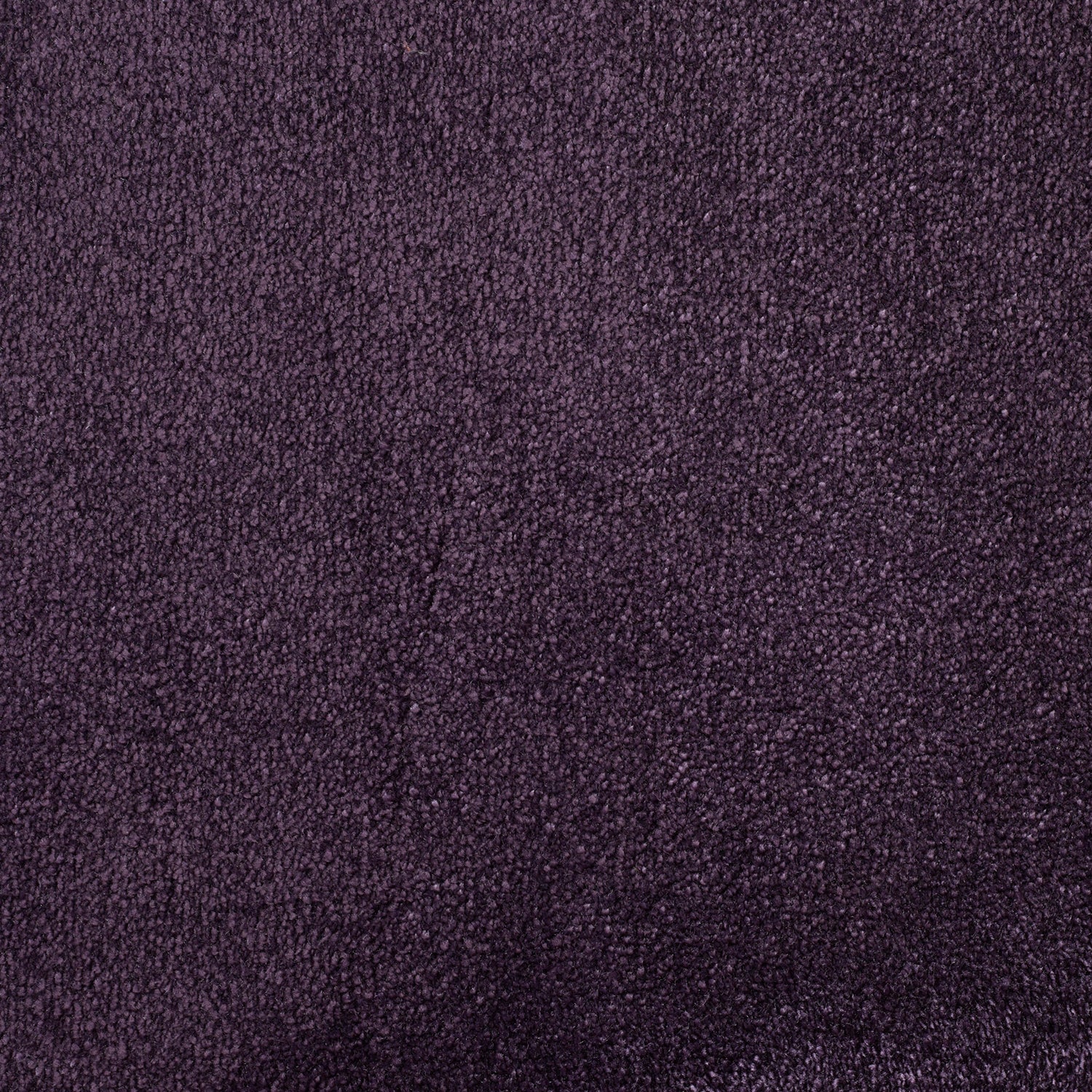 ITC Chamonix 100% Nylon Faux Silk Velvet Carpet