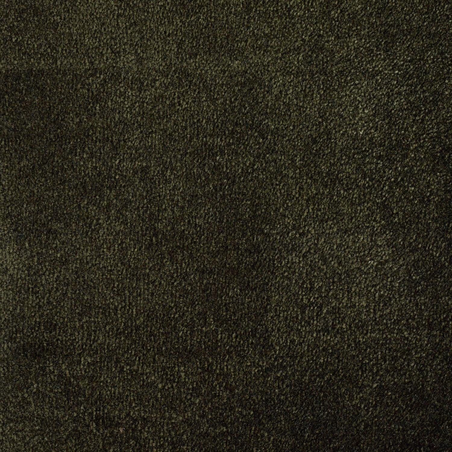ITC Chamonix 100% Nylon Faux Silk Velvet Carpet