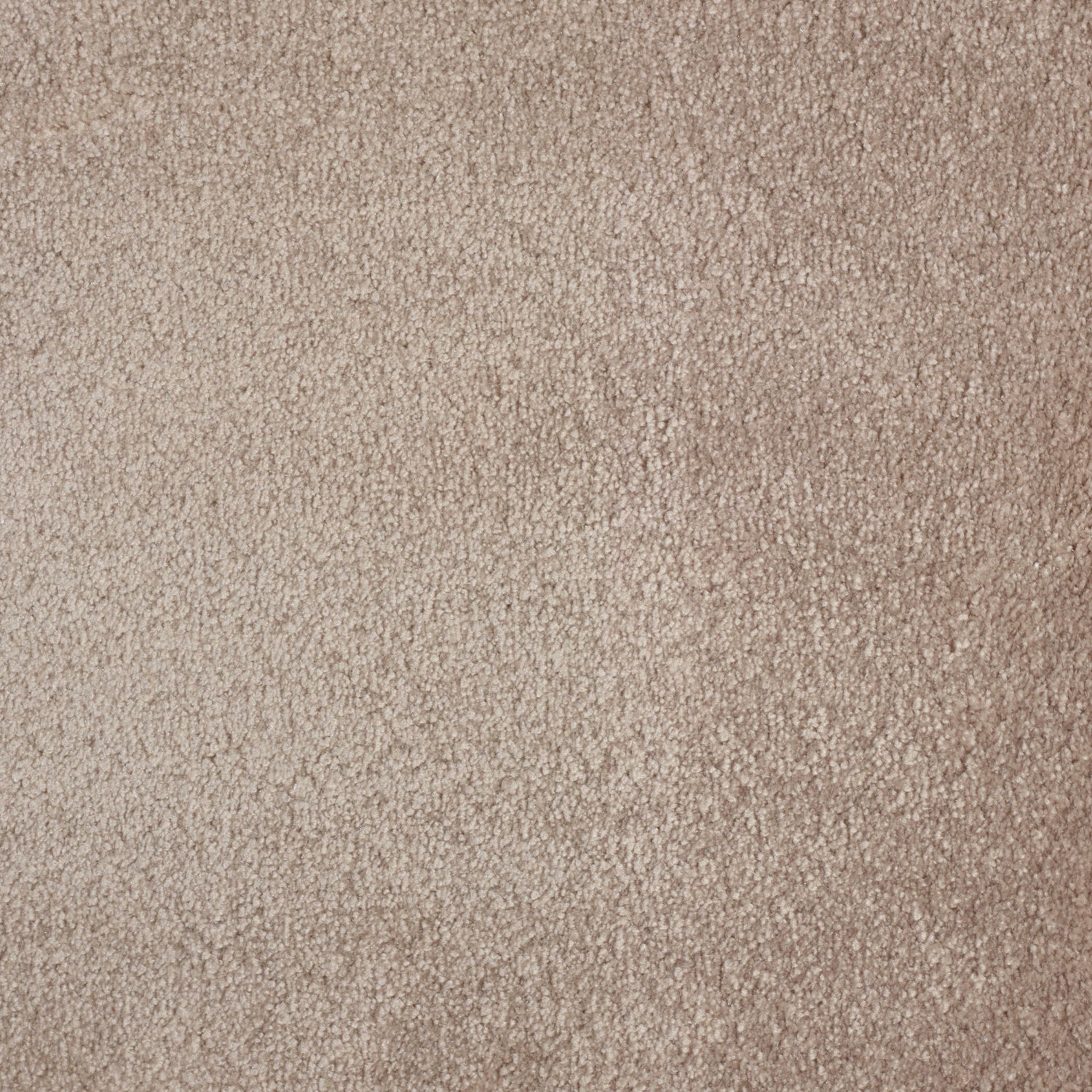 ITC Chamonix 100% Nylon Faux Silk Velvet Carpet