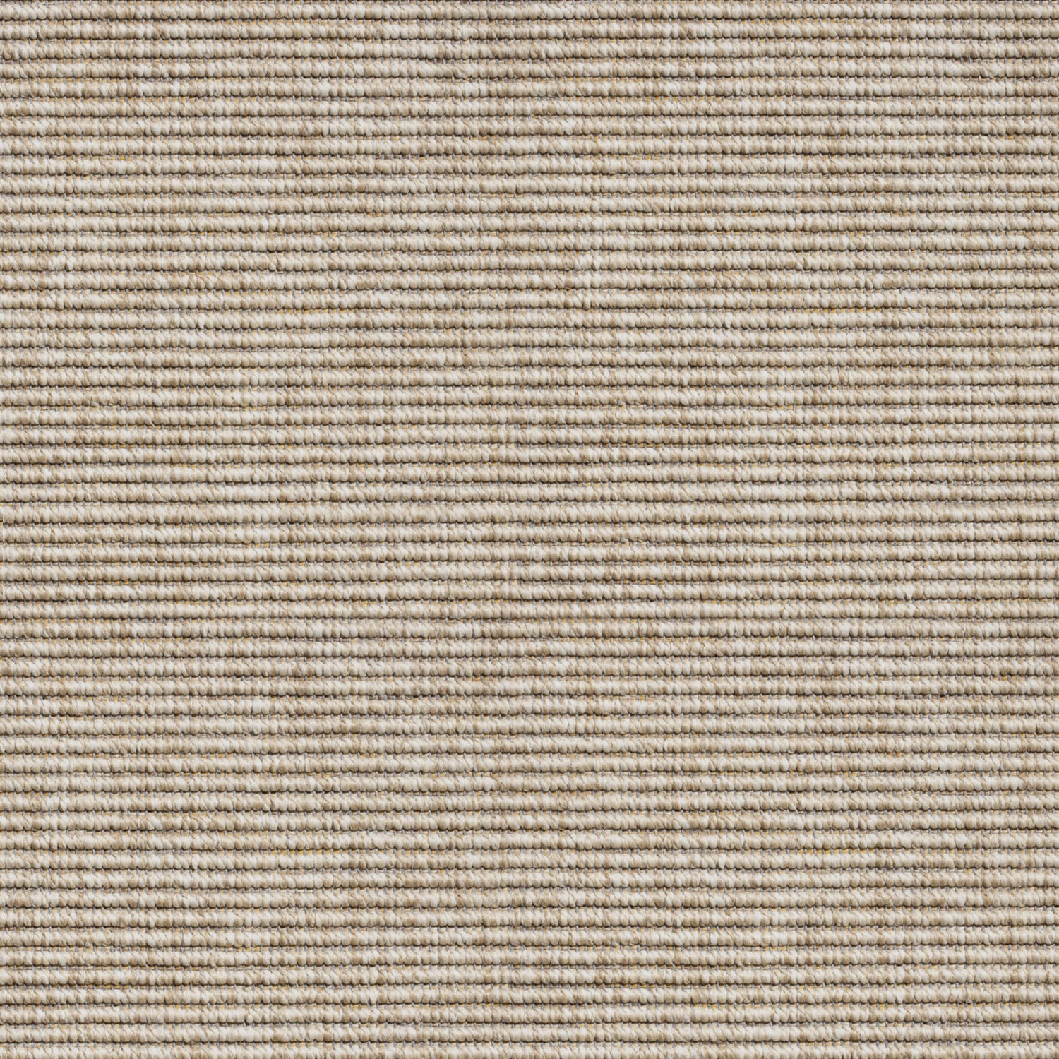 ITC Delta Handwoven Loop Carpet