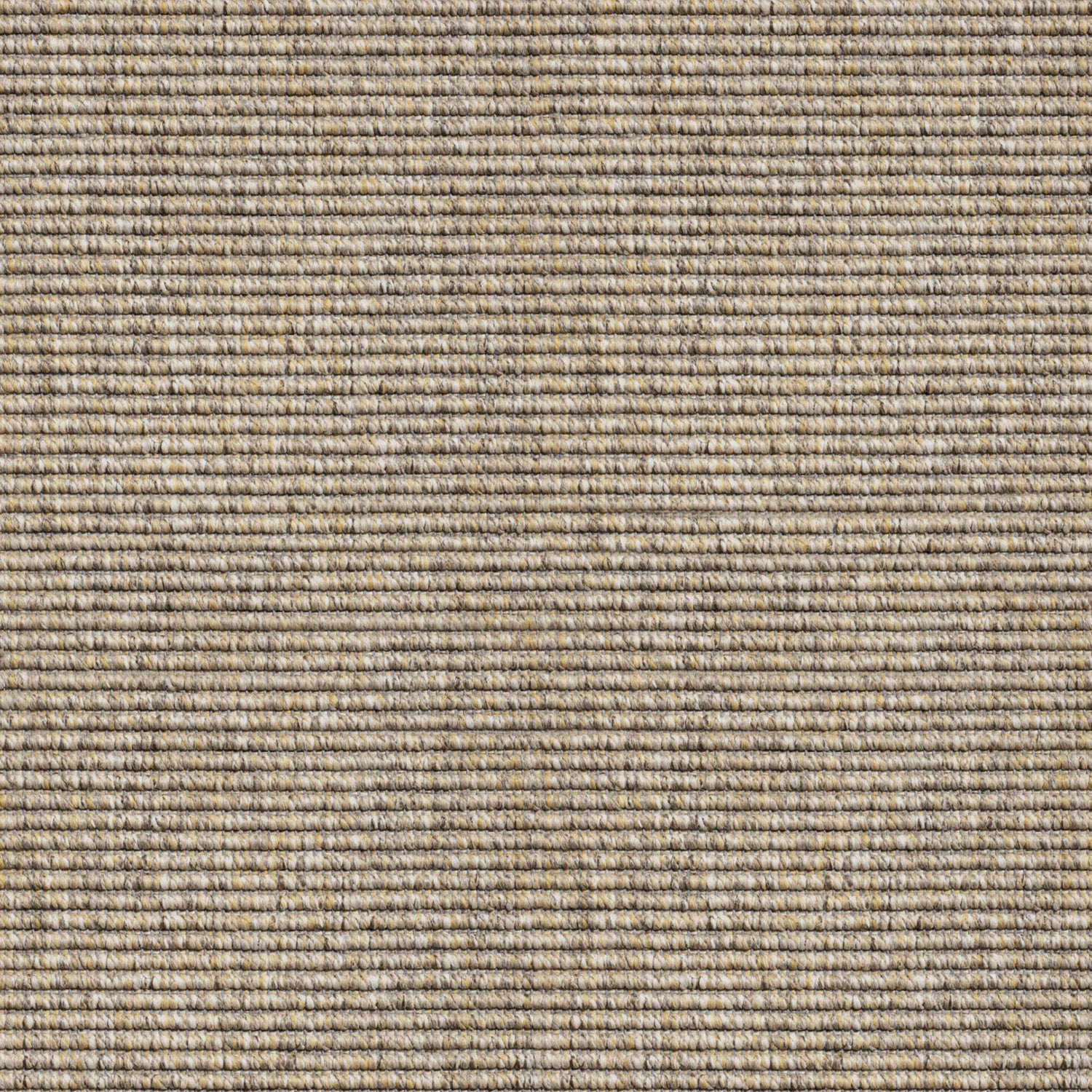 ITC Delta Handwoven Loop Carpet