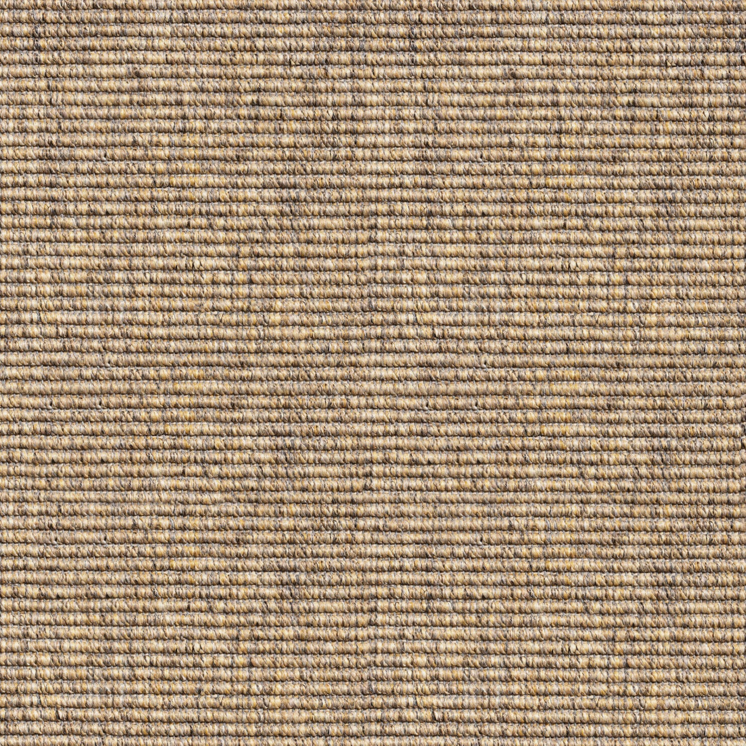 ITC Delta Handwoven Loop Carpet