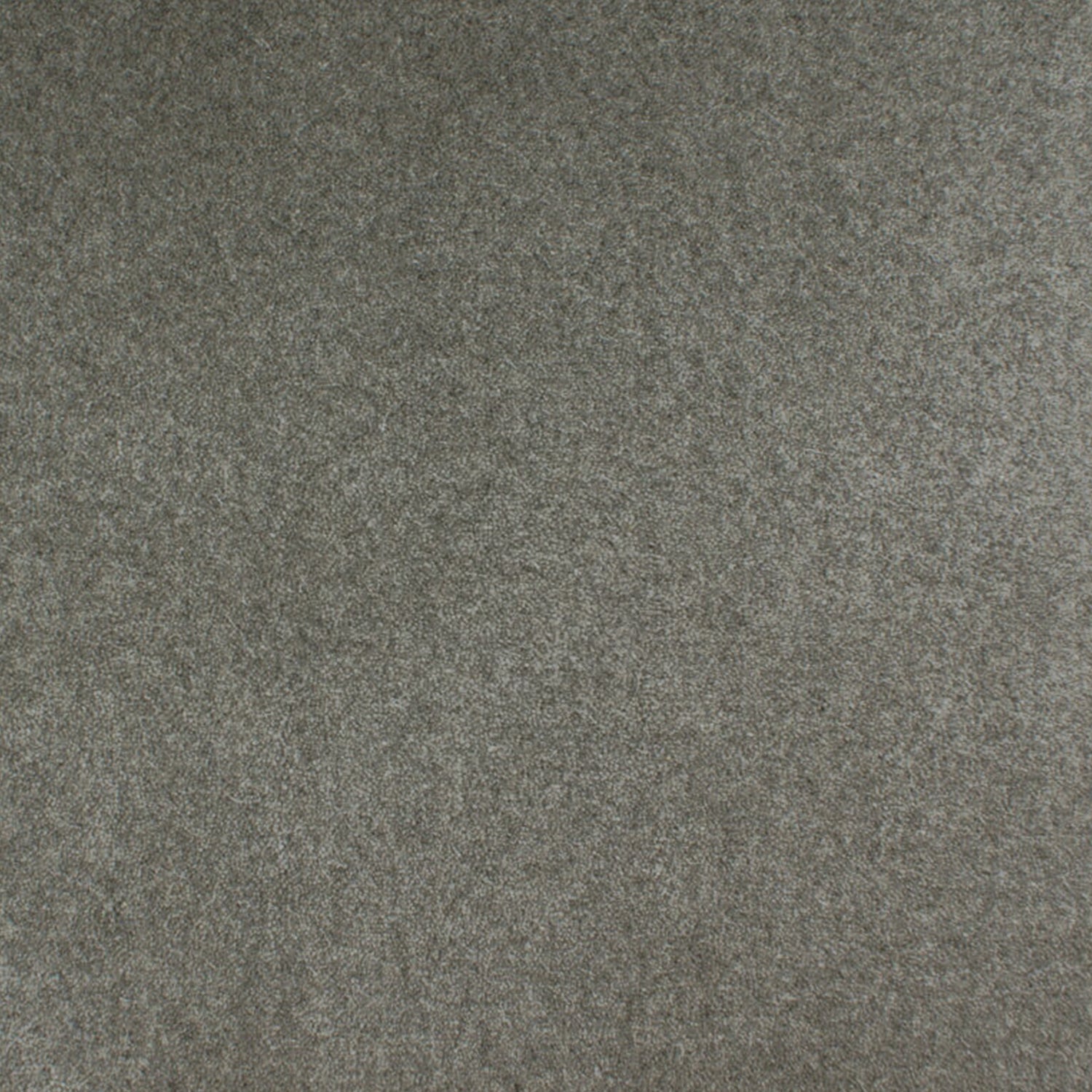 ITC Eco Velvet 100% Undyed Wool Velvet Carpet