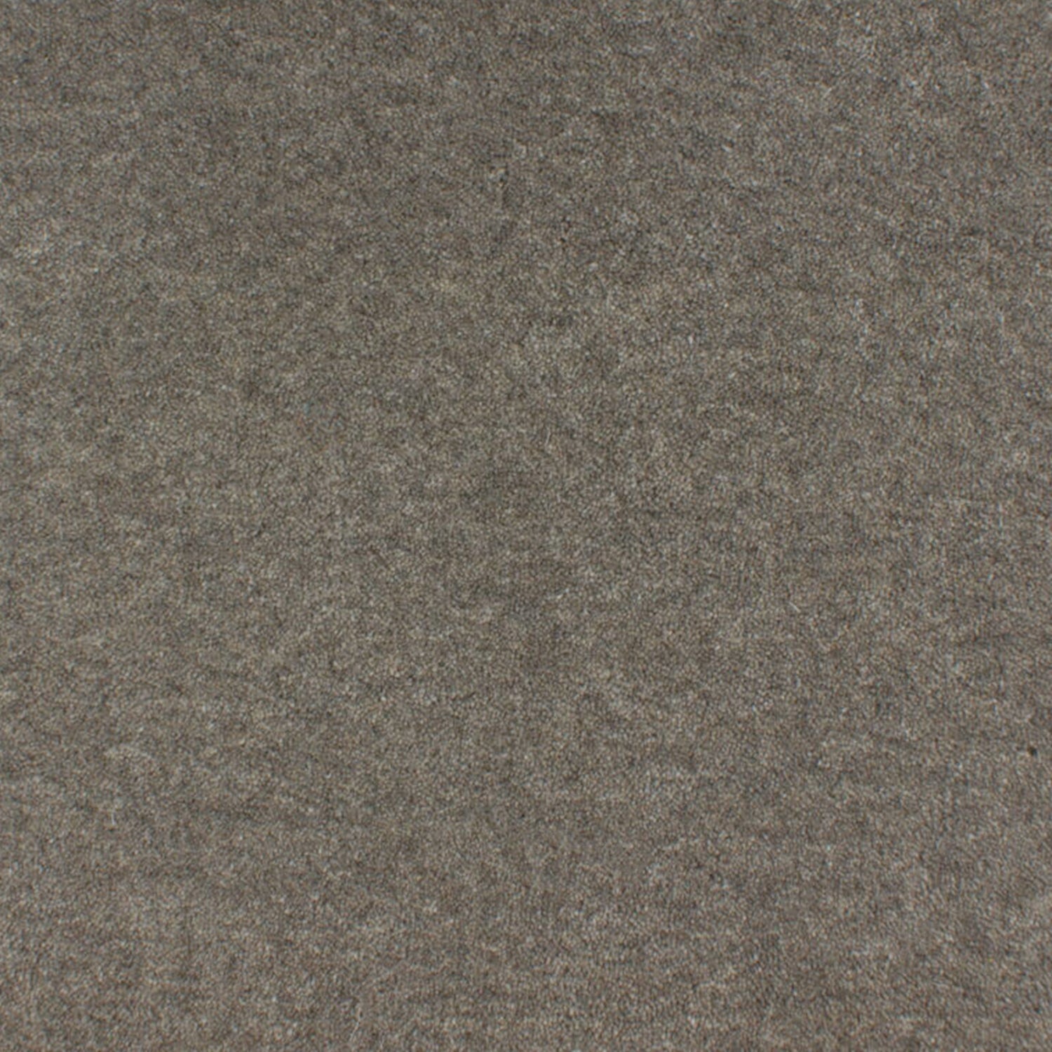 ITC Eco Velvet 100% Undyed Wool Velvet Carpet