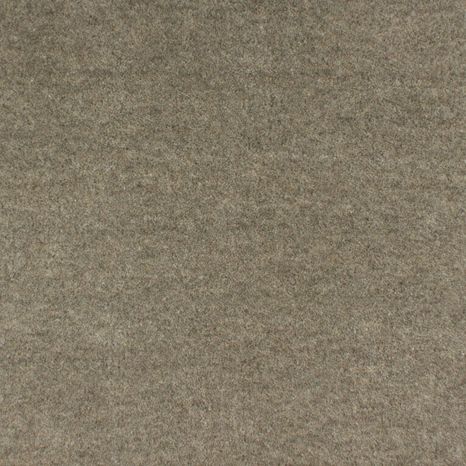 ITC Eco Velvet 100% Undyed Wool Velvet Carpet