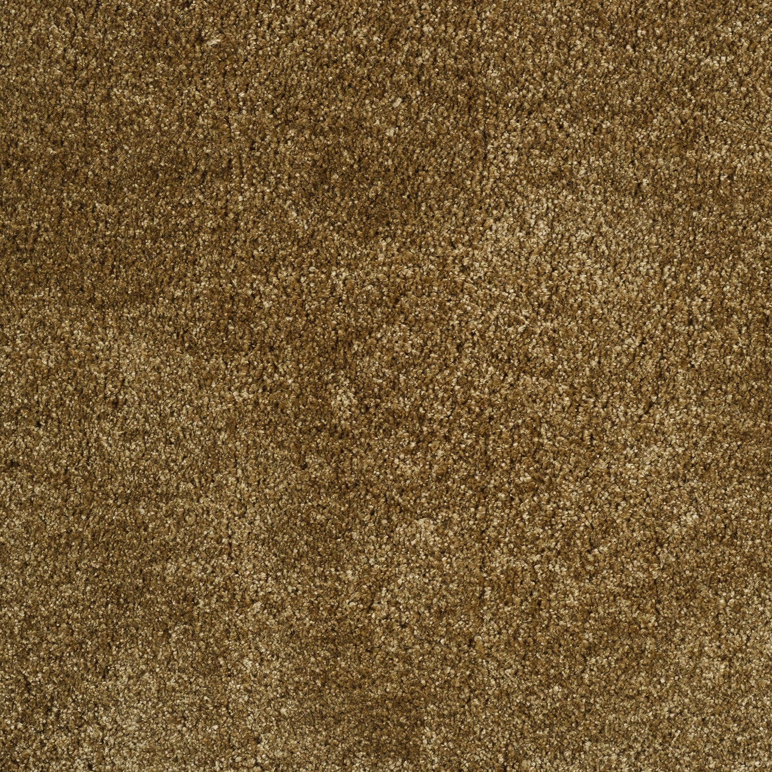 ITC Monza 100% Polyester Velvet Carpet