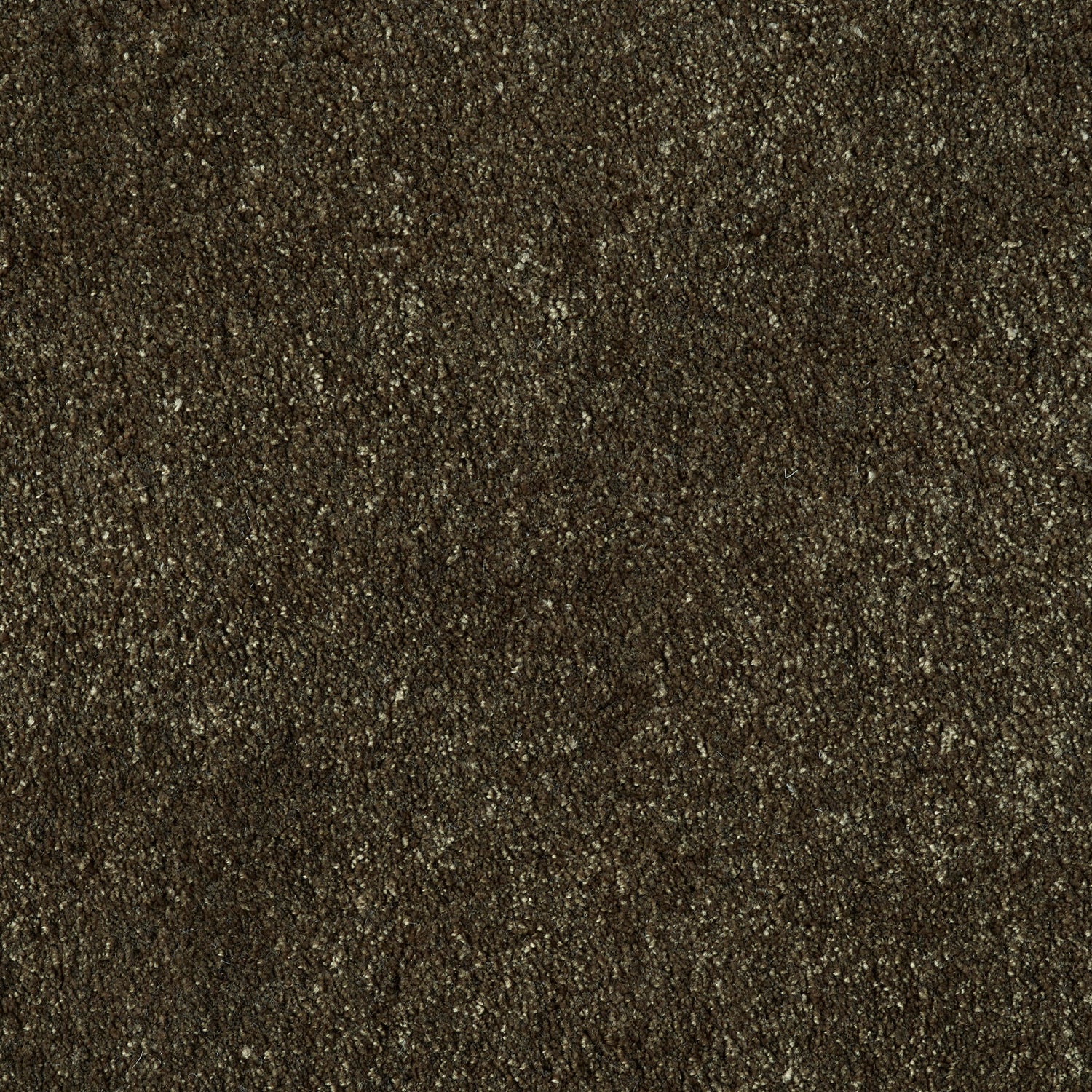 ITC Monza 100% Polyester Velvet Carpet