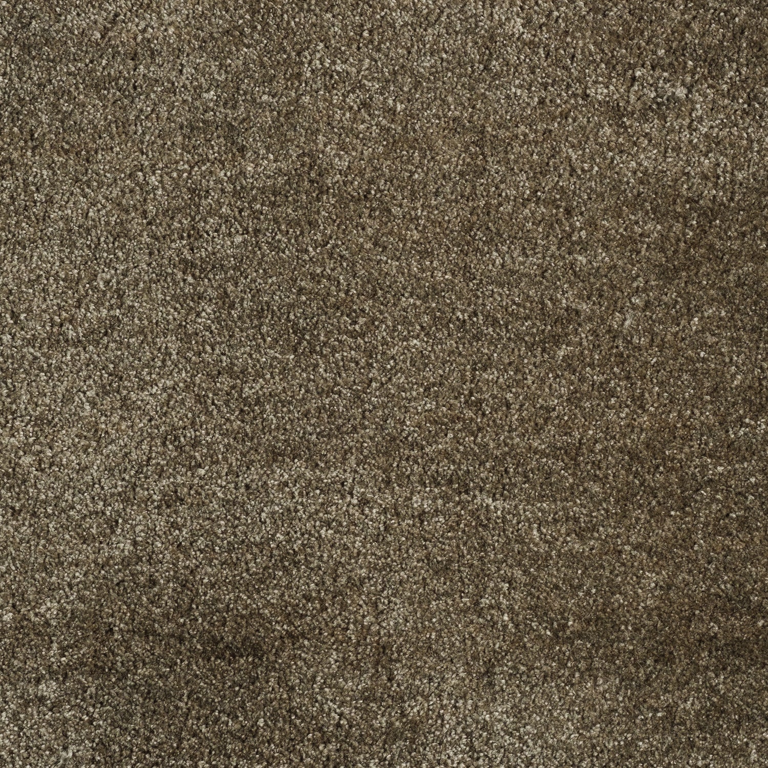 ITC Monza 100% Polyester Velvet Carpet