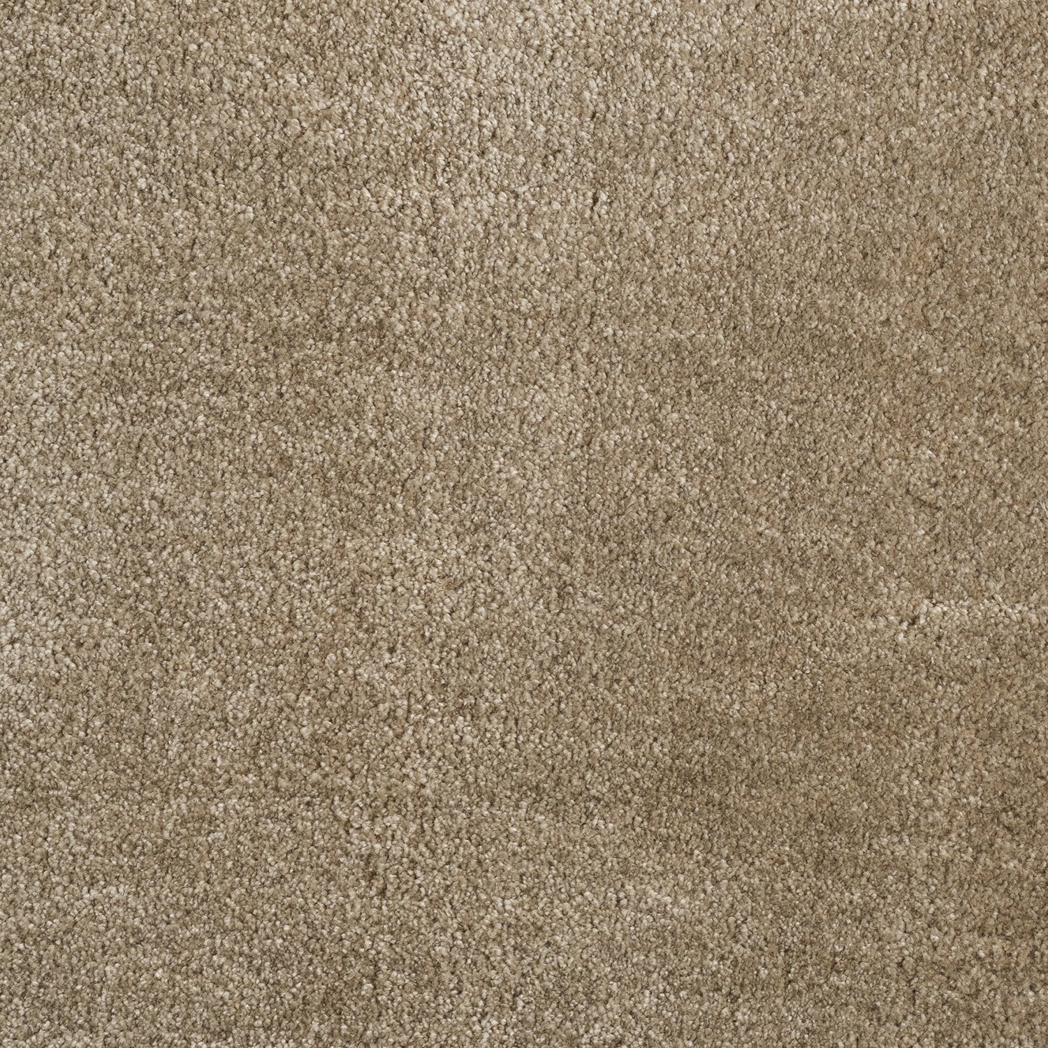 ITC Monza 100% Polyester Velvet Carpet