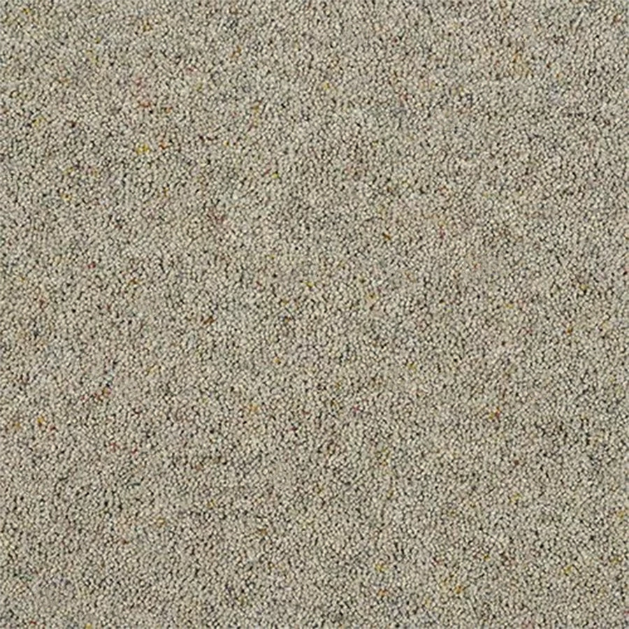 Abingdon Carpets Charter Berber Deluxe 80% Wool Blend Twist Carpet
