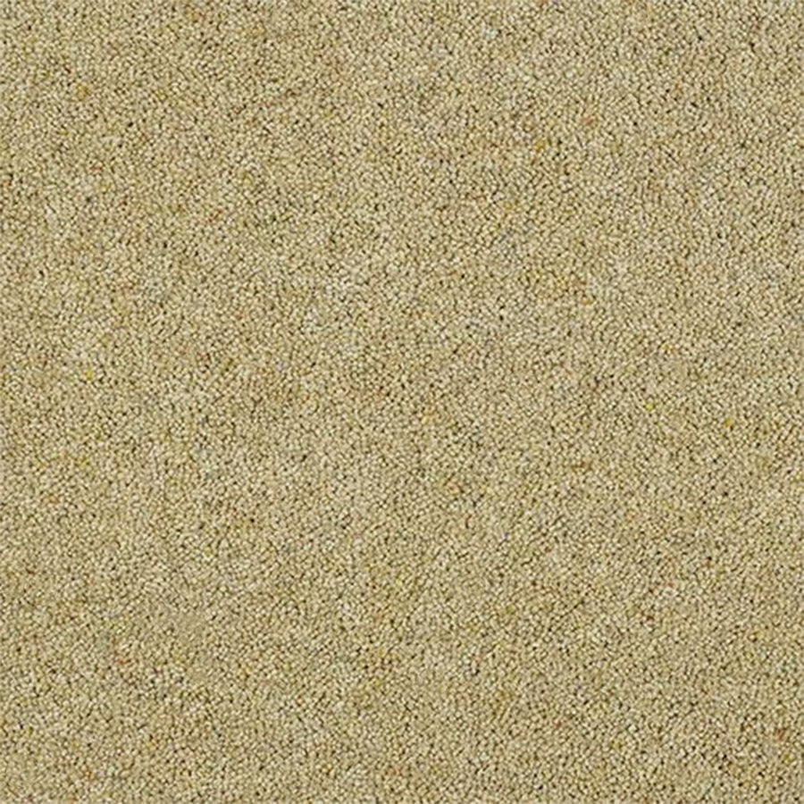Abingdon Carpets Charter Berber Deluxe 80% Wool Blend Twist Carpet