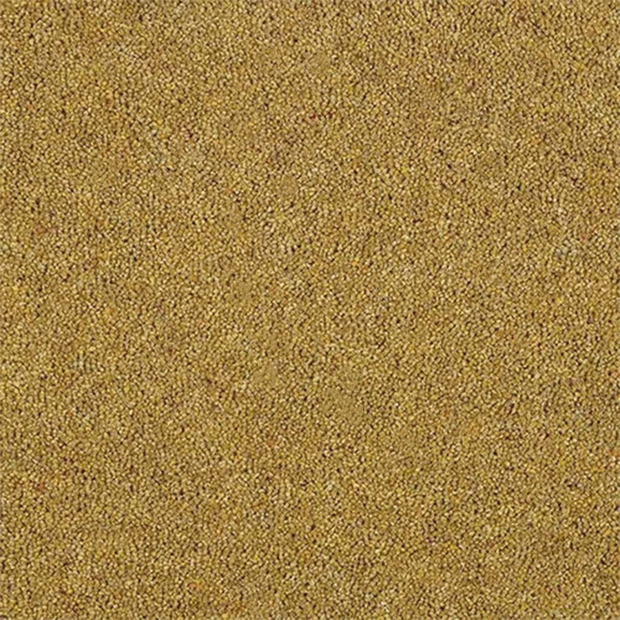 Abingdon Carpets Charter Berber Deluxe 80% Wool Blend Twist Carpet