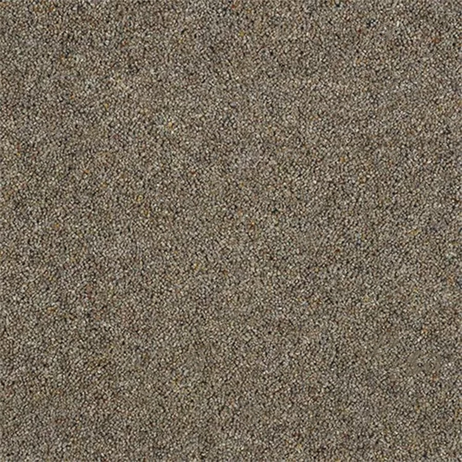 Abingdon Carpets Charter Berber Deluxe 80% Wool Blend Twist Carpet