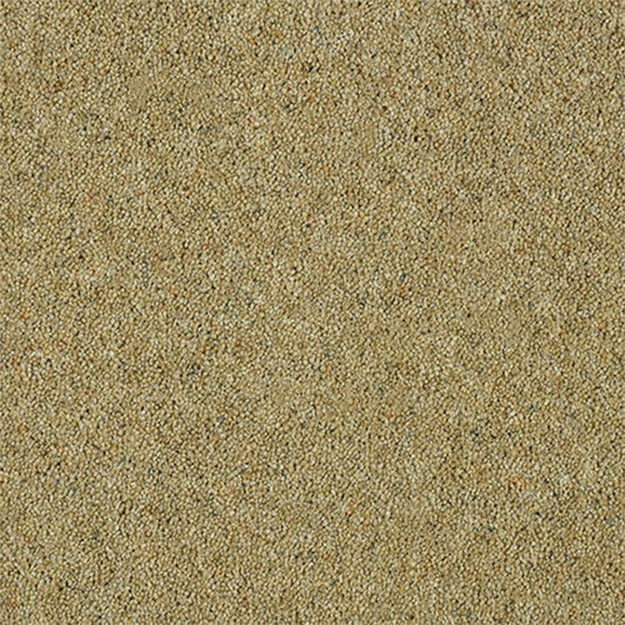 Abingdon Carpets Charter Berber Deluxe 80% Wool Blend Twist Carpet