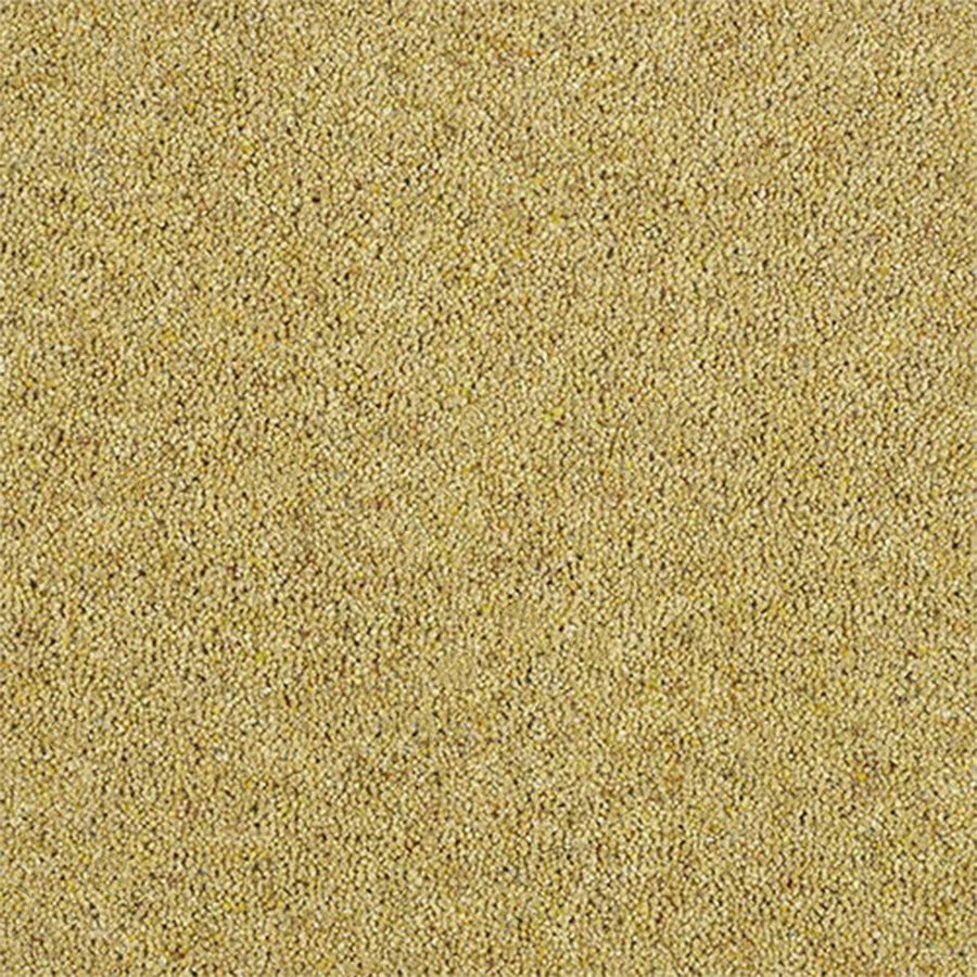 Abingdon Carpets Charter Berber Deluxe 80% Wool Blend Twist Carpet