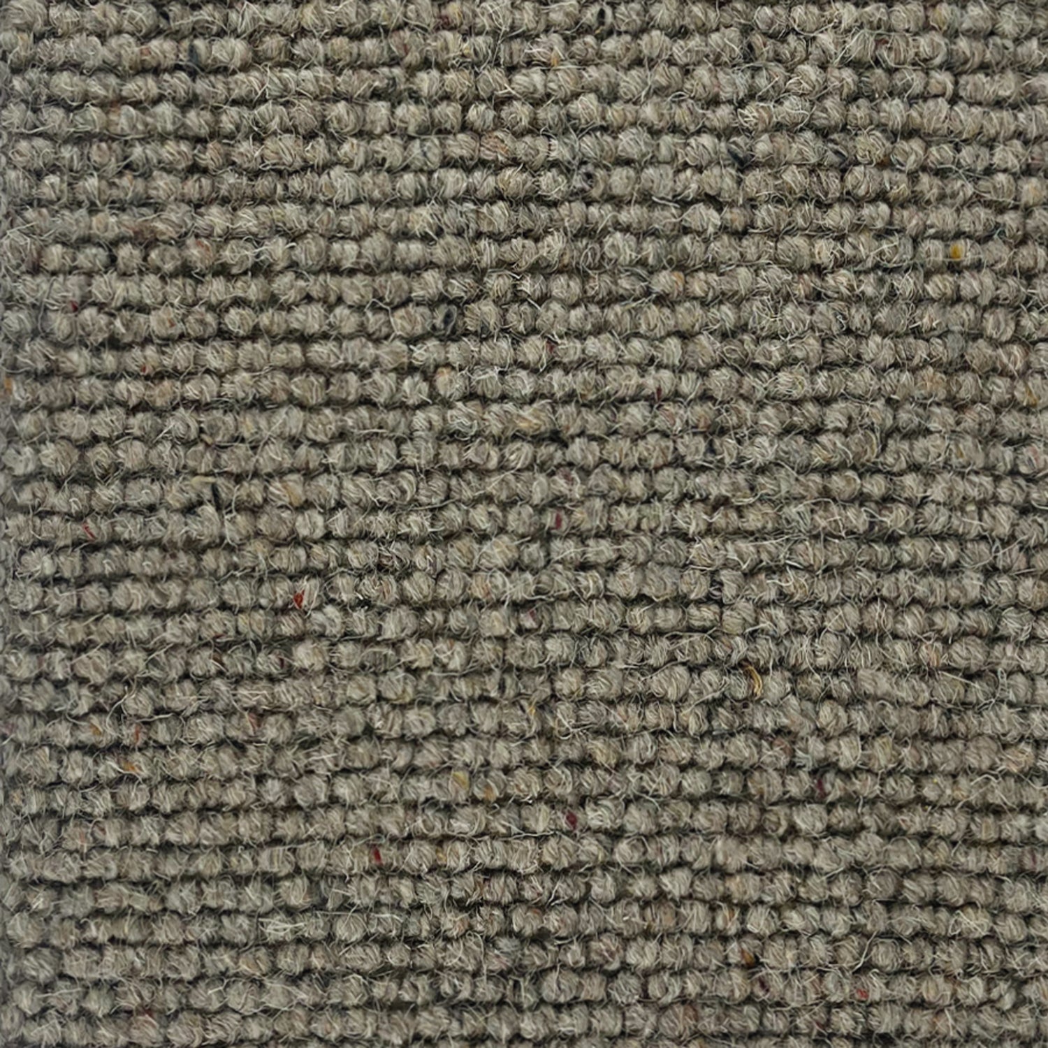 Abingdon Carpets Charter Berber Loop 100% Wool Loop Carpet