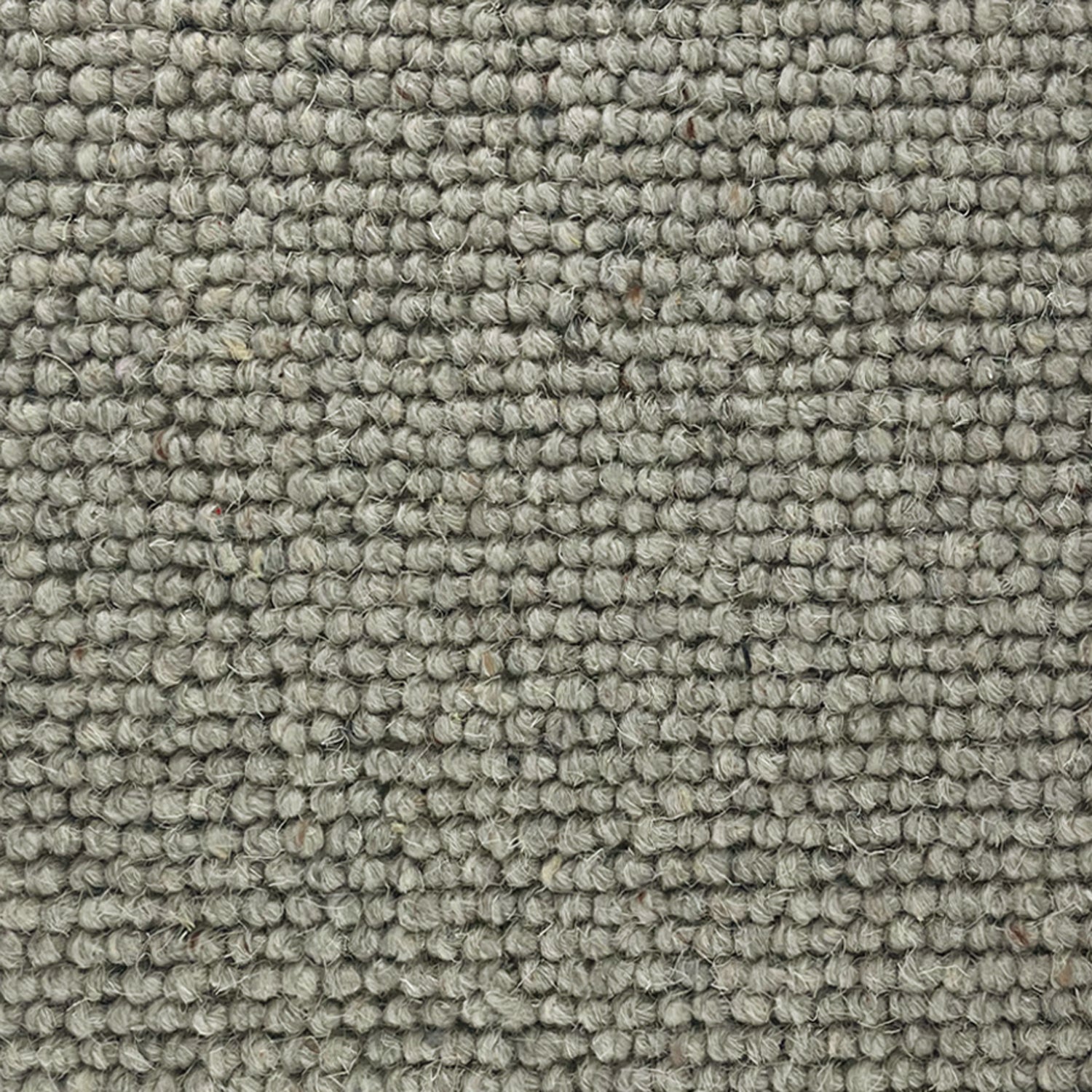 Abingdon Carpets Charter Berber Loop 100% Wool Loop Carpet