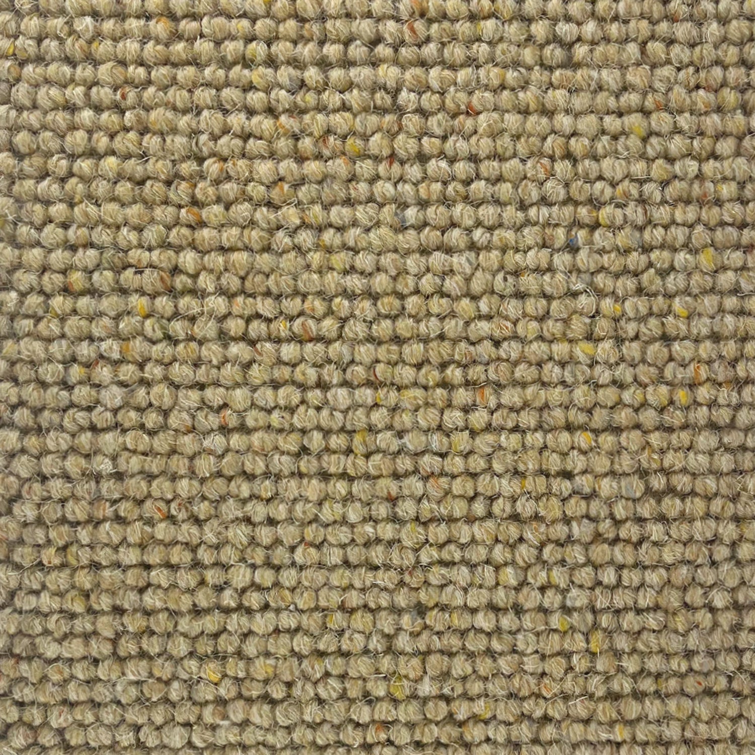 Abingdon Carpets Charter Berber Loop 100% Wool Loop Carpet