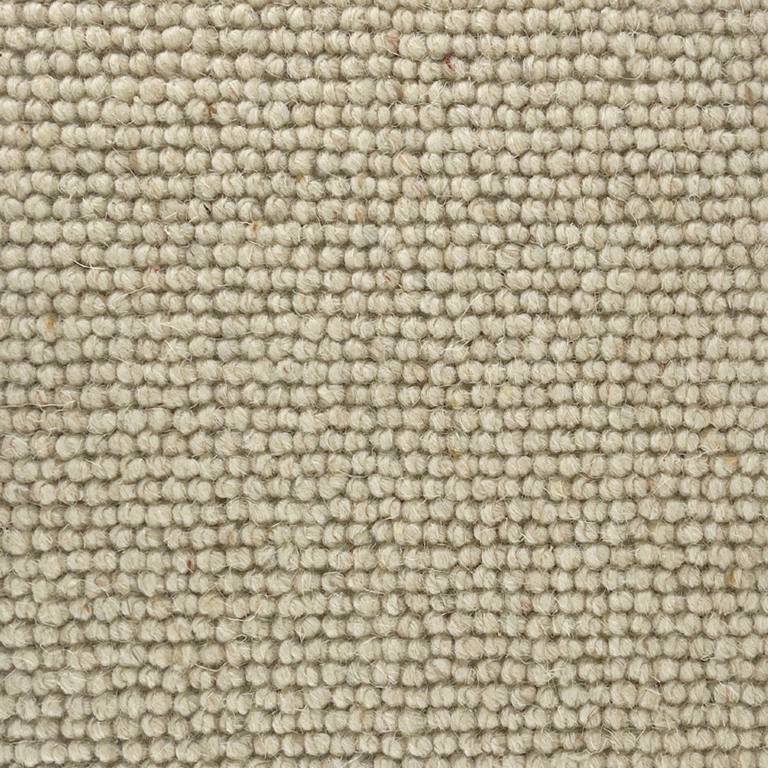Abingdon Carpets Charter Berber Loop 100% Wool Loop Carpet