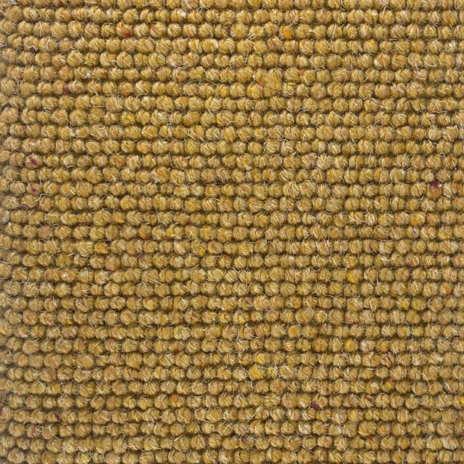 Abingdon Carpets Charter Berber Loop 100% Wool Loop Carpet