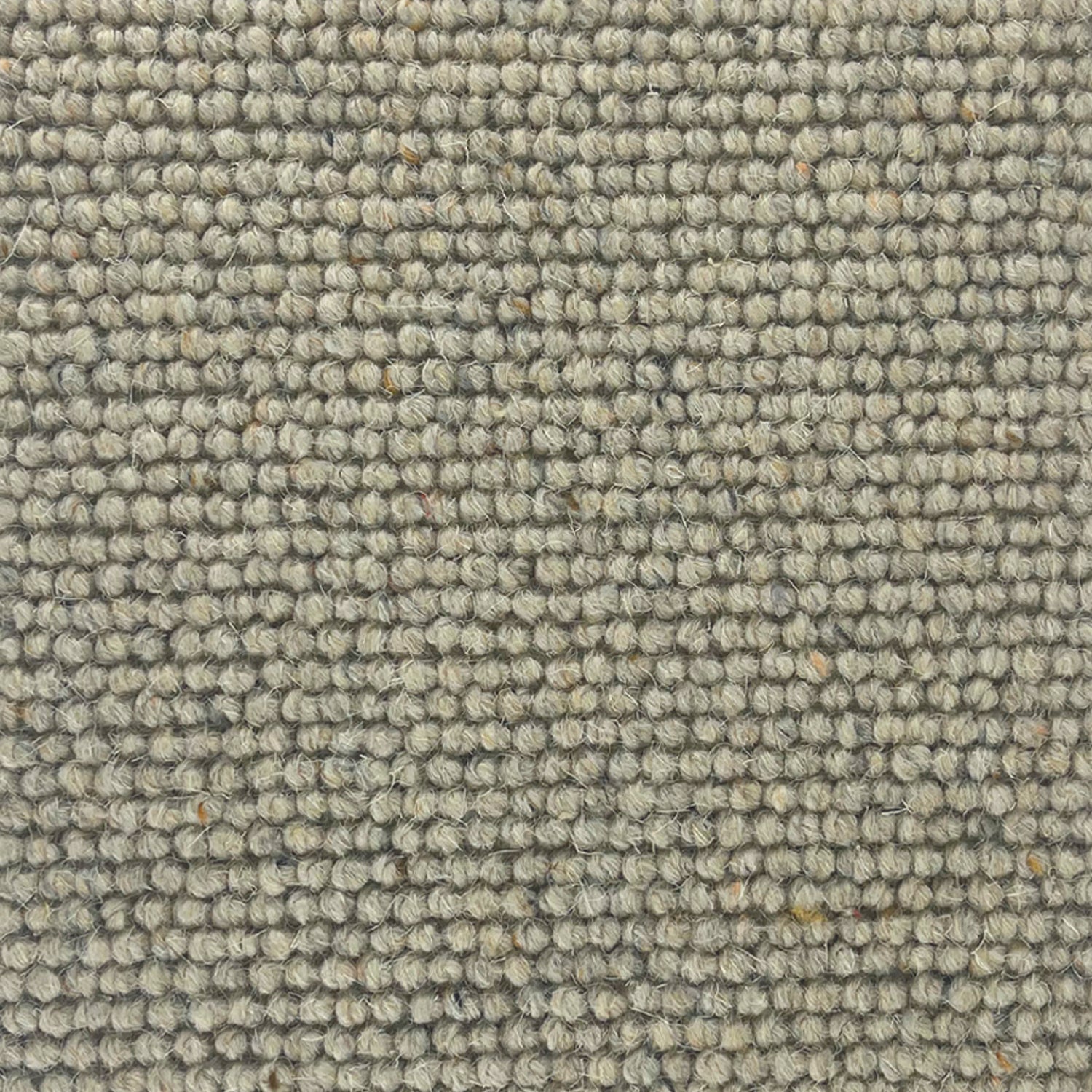 Abingdon Carpets Charter Berber Loop 100% Wool Loop Carpet