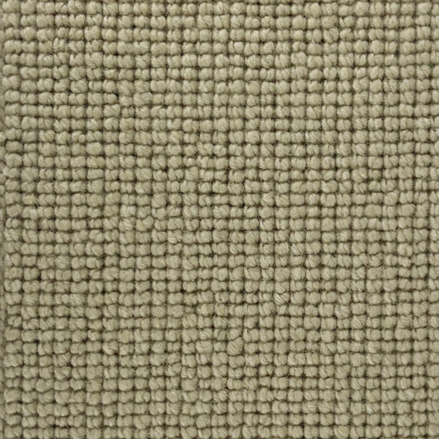 Abingdon Carpets Charter Plain Loop 100% Wool Loop Carpet