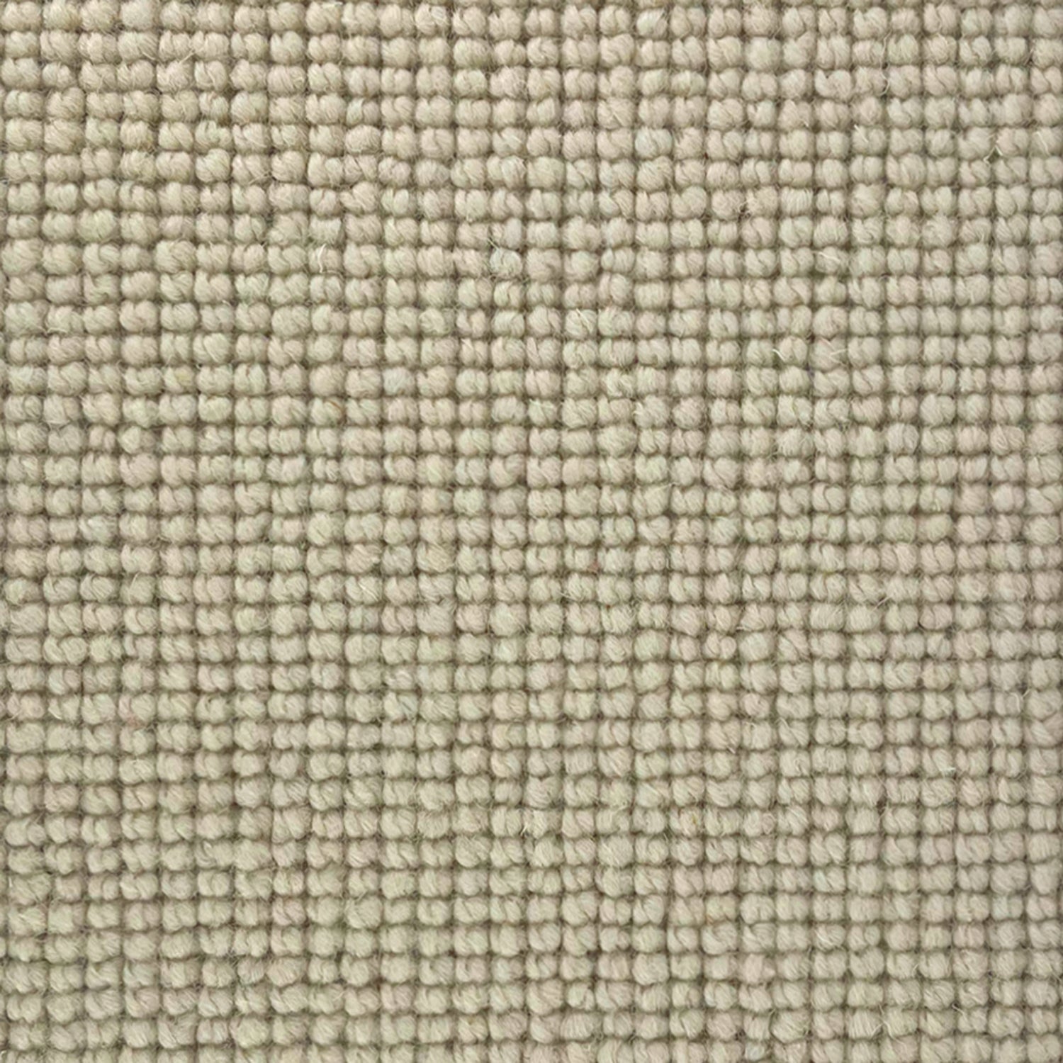 Abingdon Carpets Charter Plain Loop 100% Wool Loop Carpet