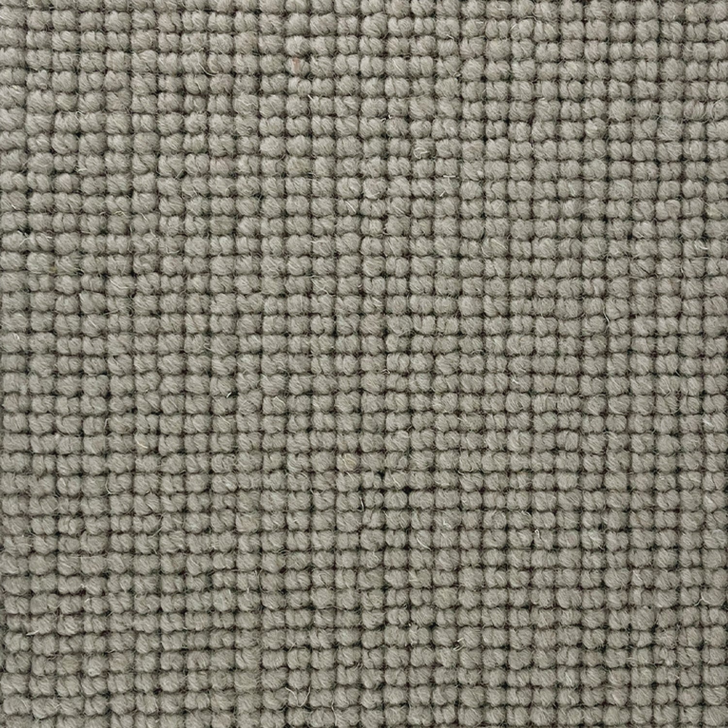 Abingdon Carpets Charter Plain Loop 100% Wool Loop Carpet
