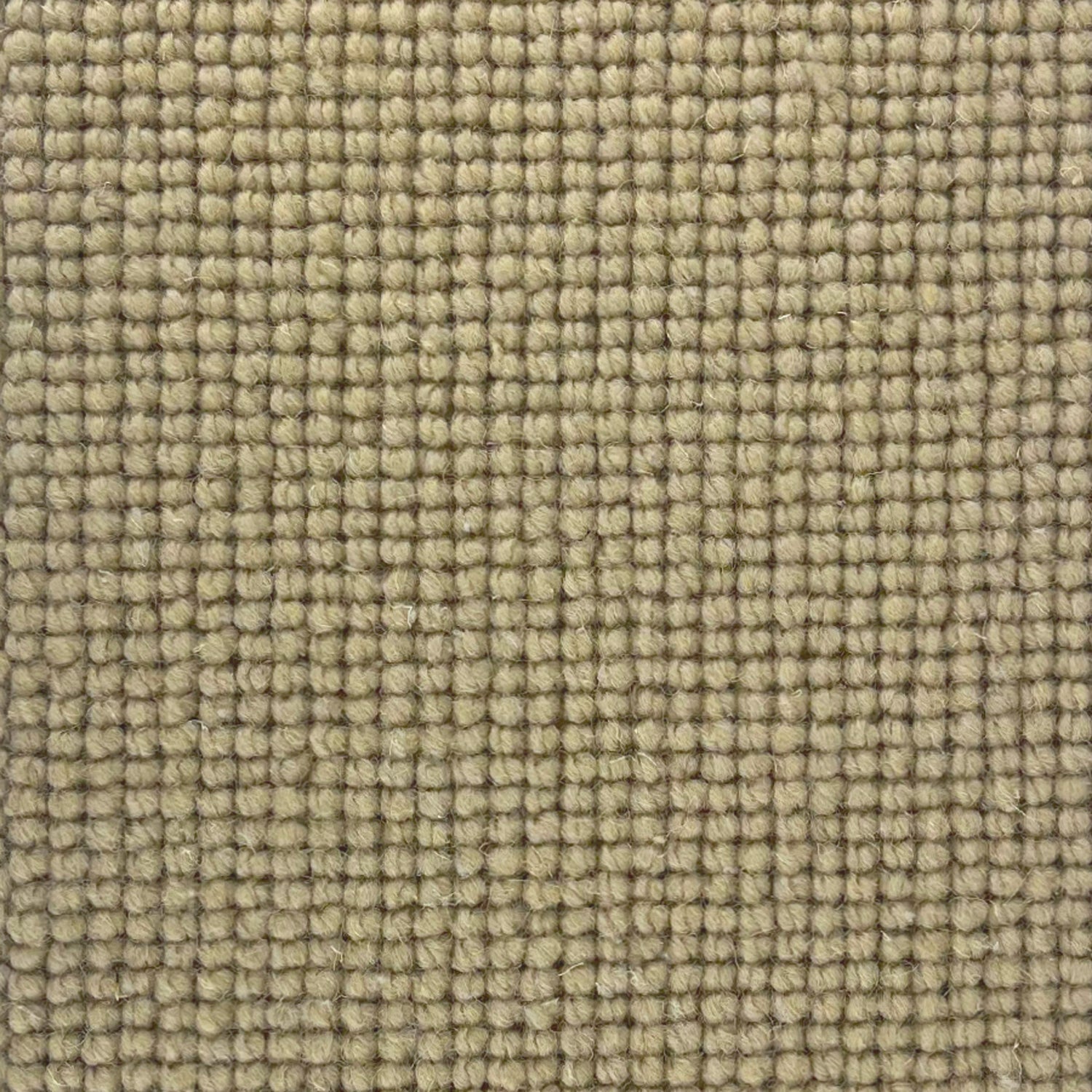 Abingdon Carpets Charter Plain Loop 100% Wool Loop Carpet