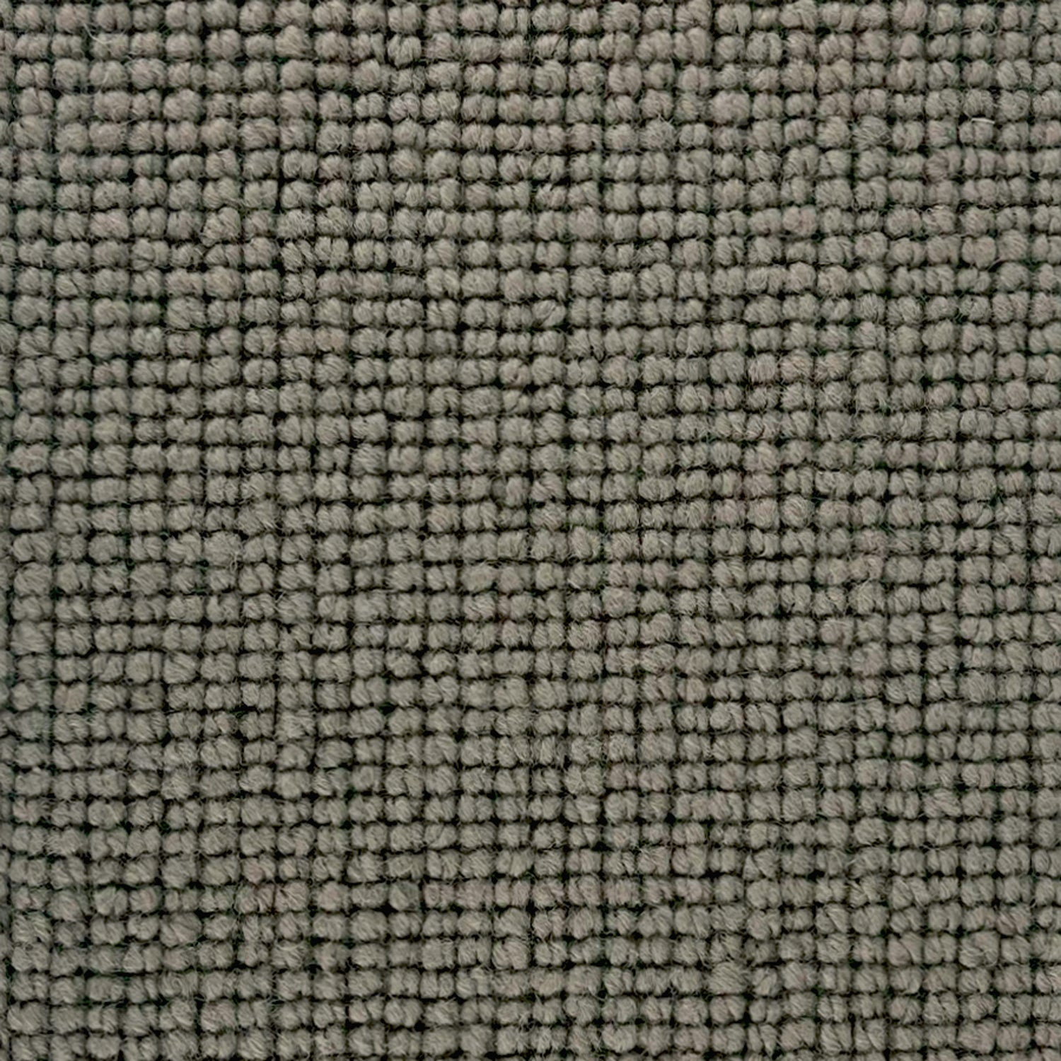 Abingdon Carpets Charter Plain Loop 100% Wool Loop Carpet