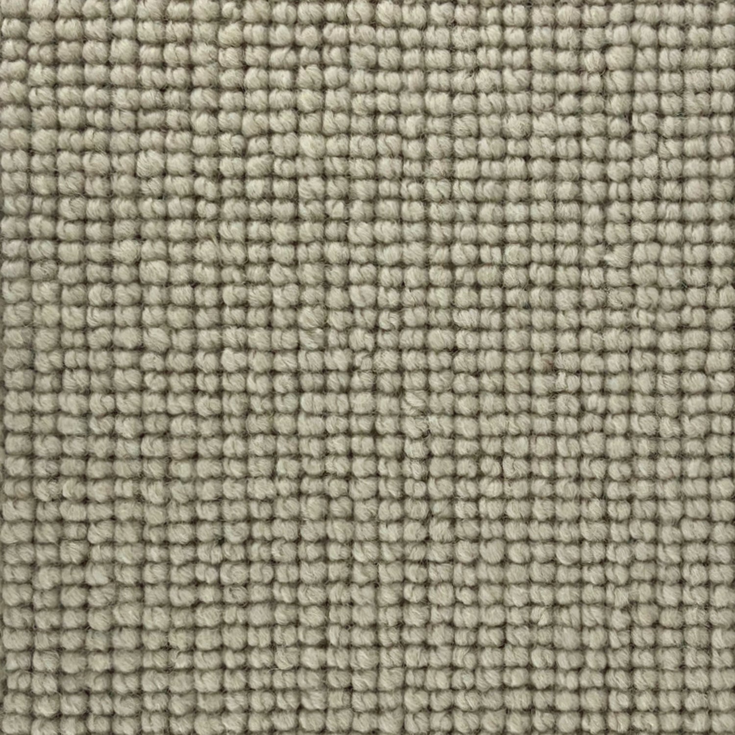 Abingdon Carpets Charter Plain Loop 100% Wool Loop Carpet