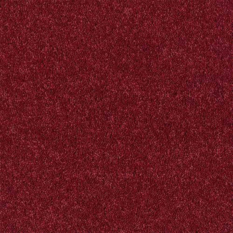 Abingdon Carpets Royal Charter Deluxe 80% Wool Blend Twist Carpet