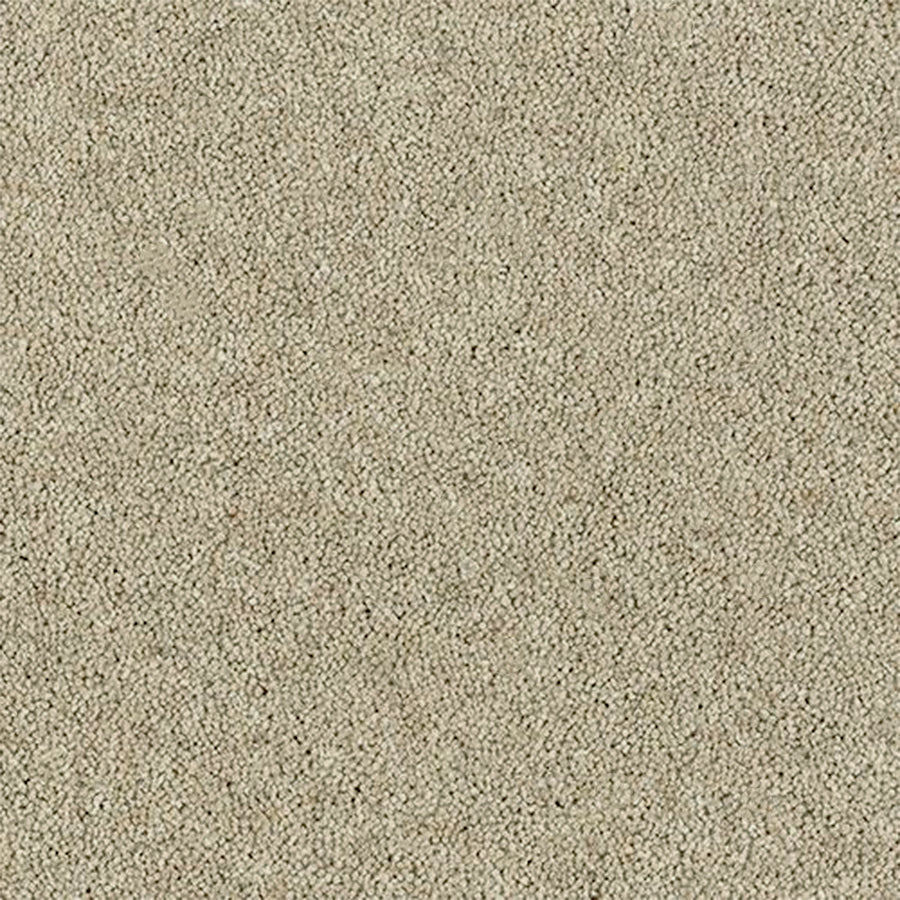 Abingdon Carpets Royal Charter Deluxe 80% Wool Blend Twist Carpet