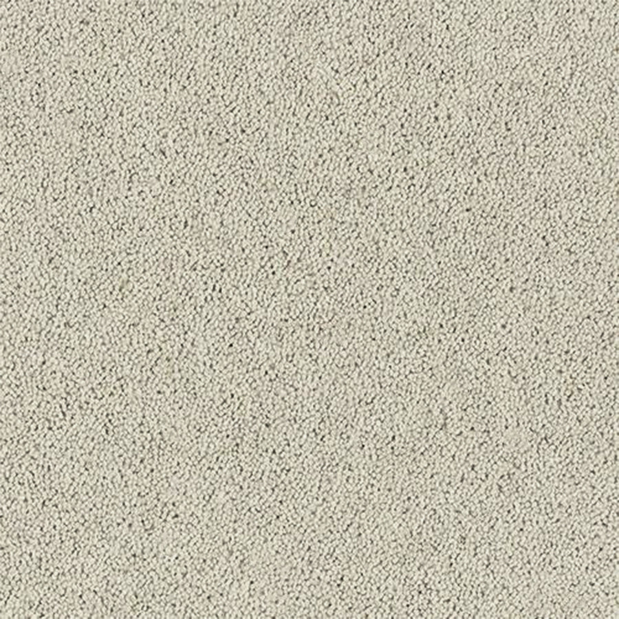 Abingdon Carpets Royal Charter Deluxe 80% Wool Blend Twist Carpet