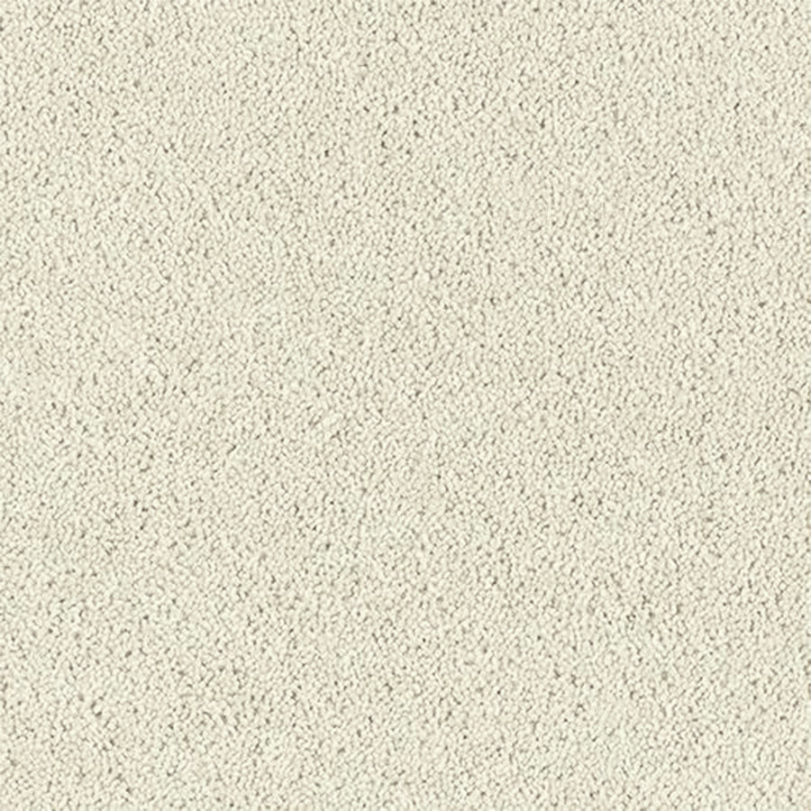Abingdon Carpets Royal Charter Deluxe 80% Wool Blend Twist Carpet