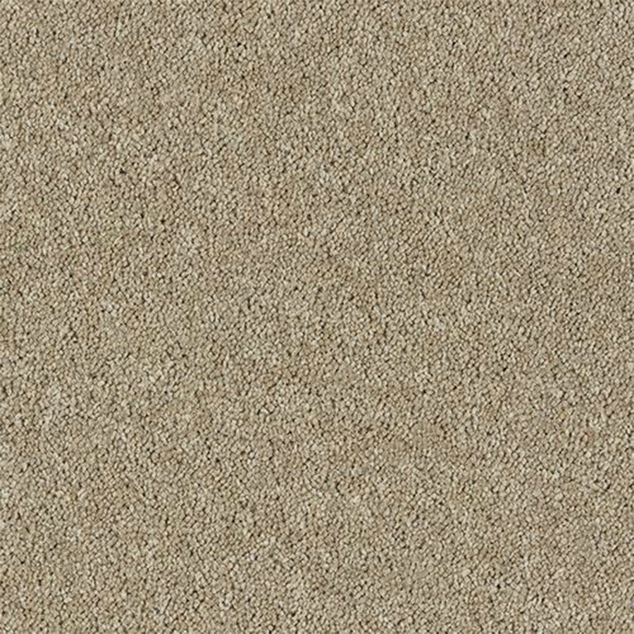 Abingdon Carpets Royal Charter Deluxe 80% Wool Blend Twist Carpet