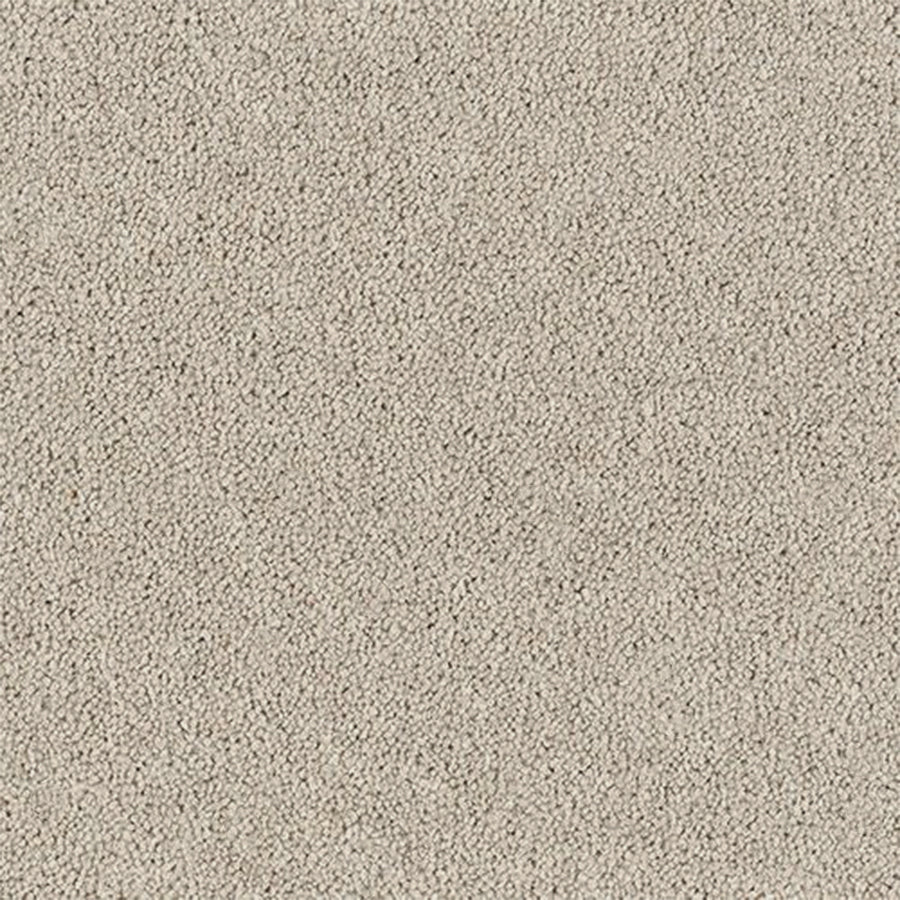 Abingdon Carpets Royal Charter Deluxe 80% Wool Blend Twist Carpet