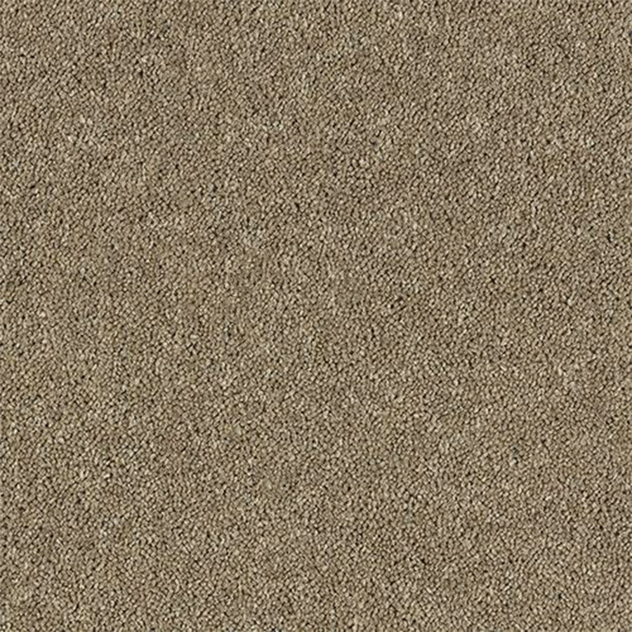 Abingdon Carpets Royal Charter Deluxe 80% Wool Blend Twist Carpet